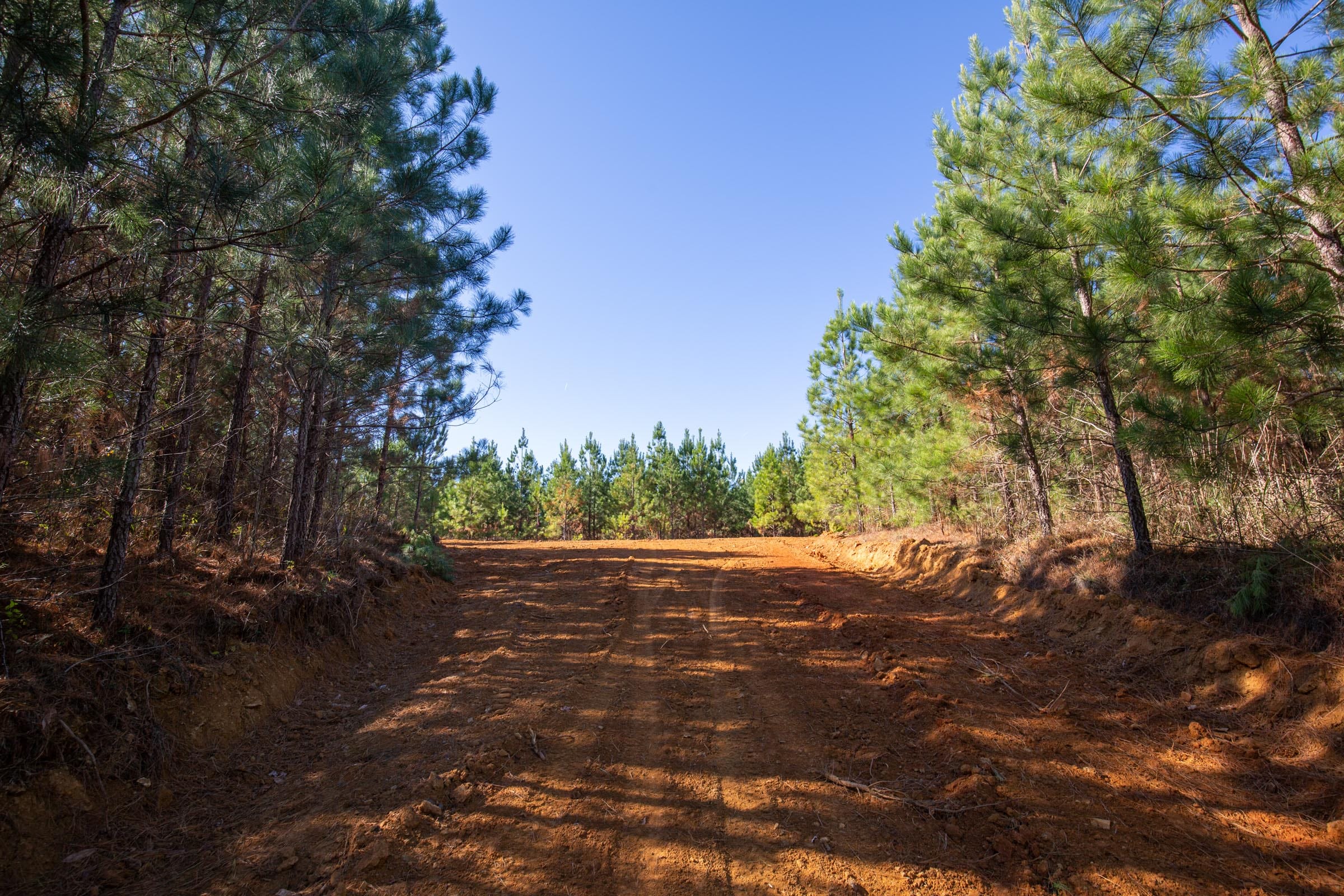 Pine Ridge Tract 9 photo 4