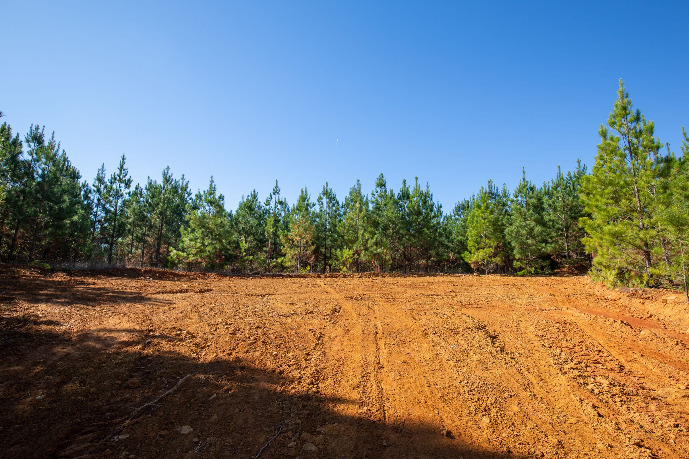 Pine Ridge Tract 9 photo 8