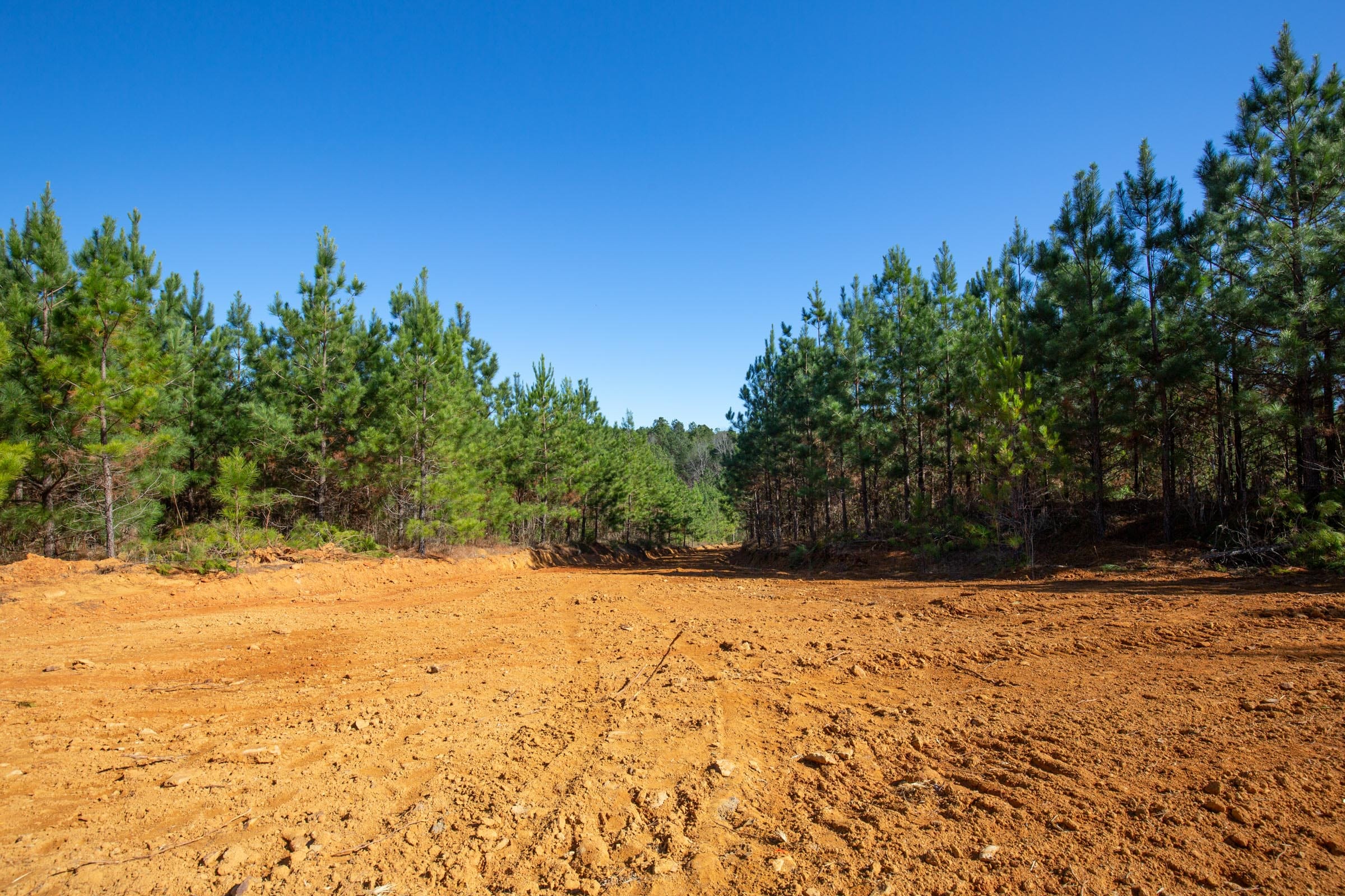 Pine Ridge Tract 9 photo 10