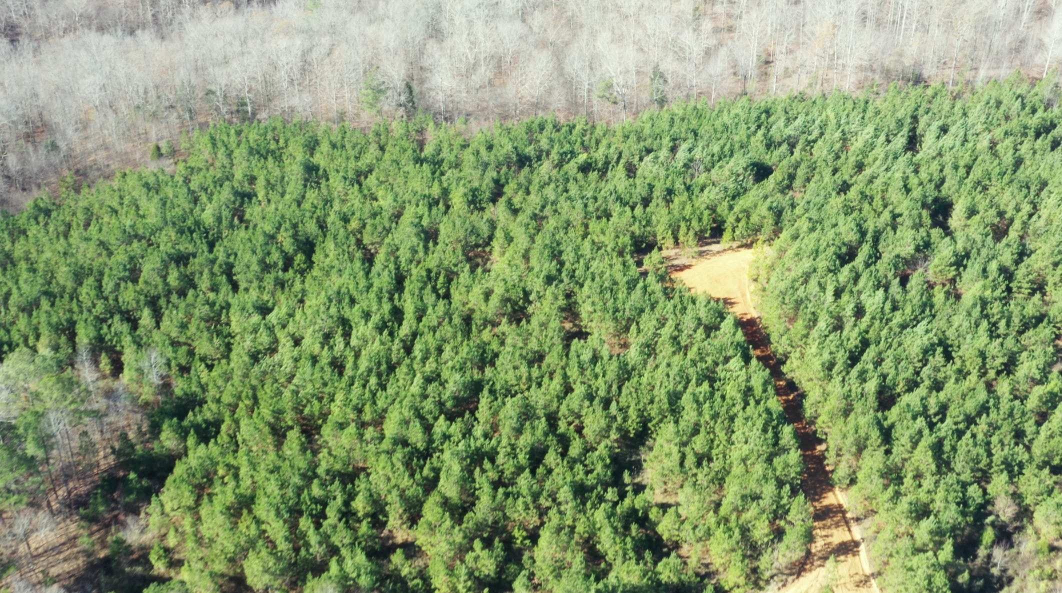 Pine Ridge Tract 9 photo 12