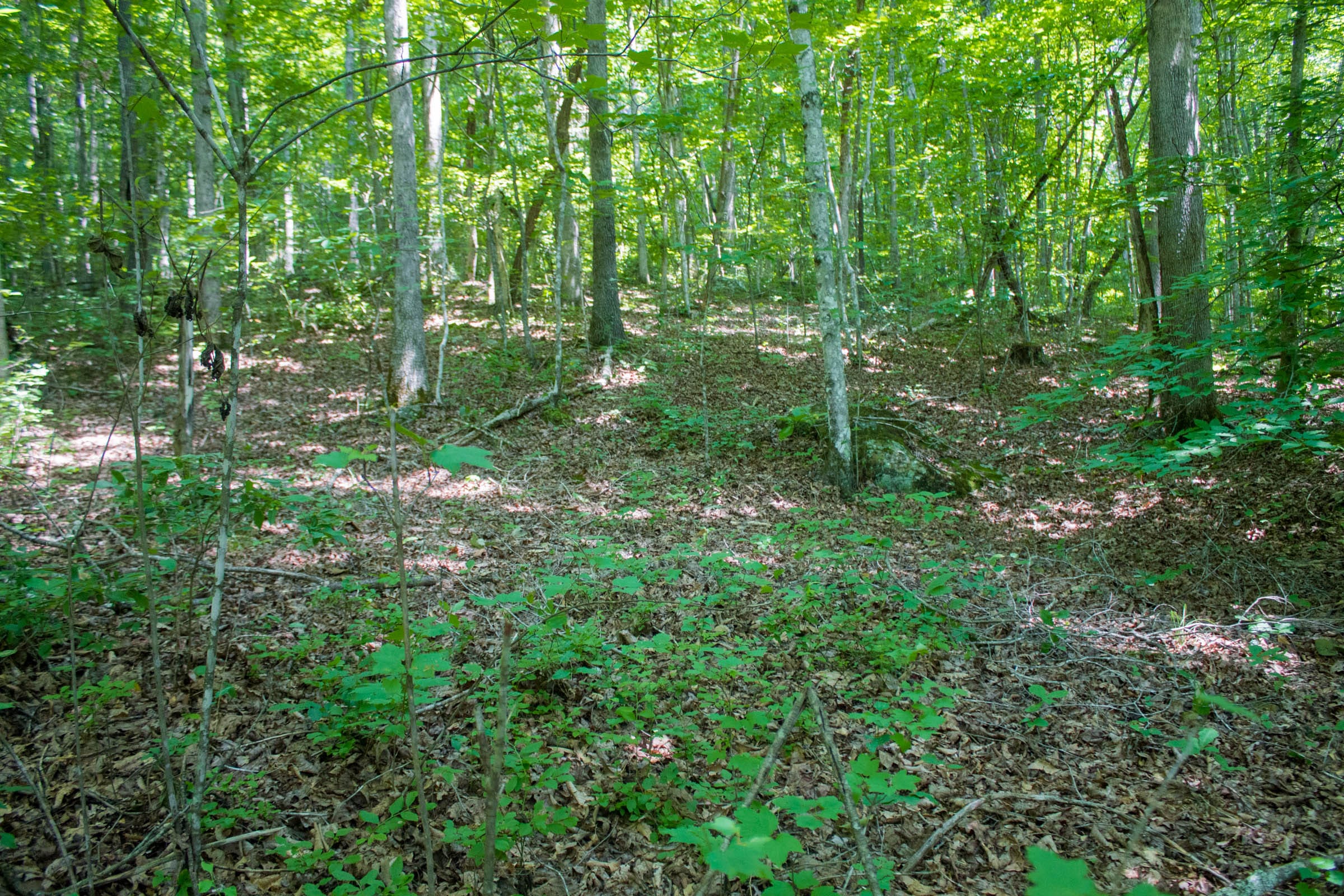 Bluewater Ridge Tract 5 photo 1