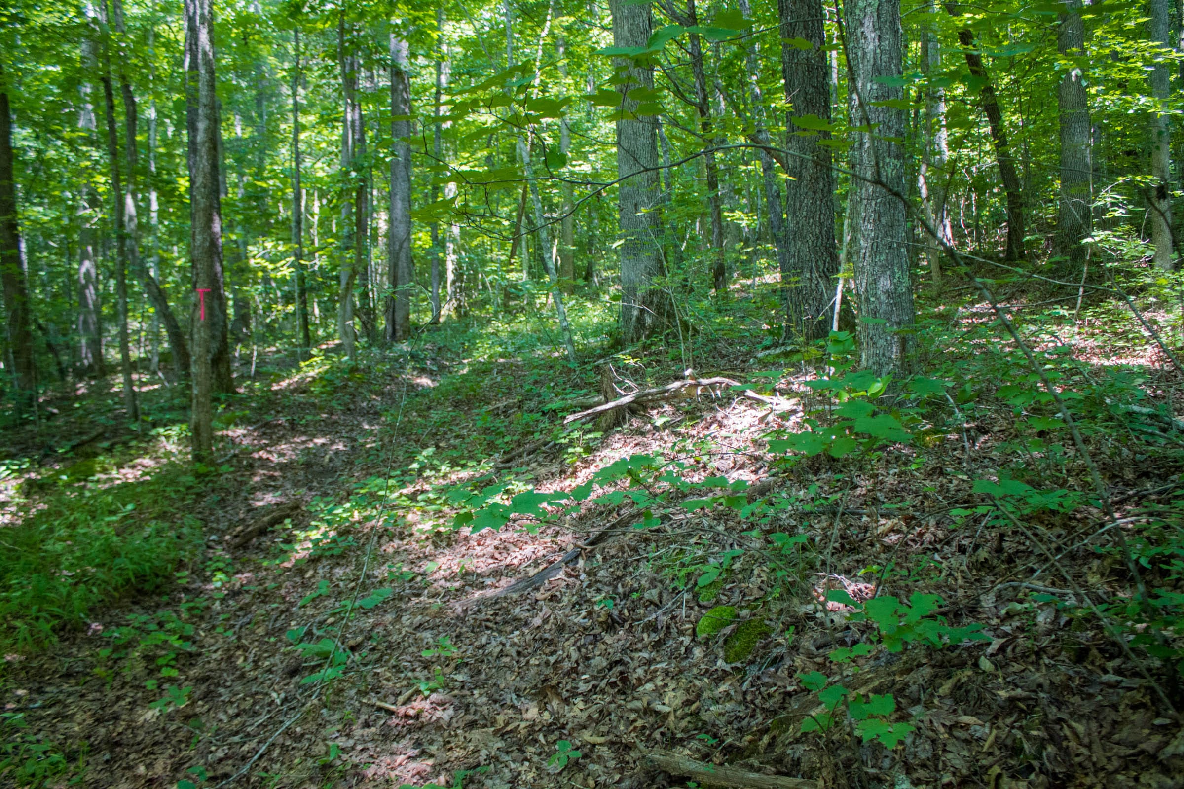 Bluewater Ridge Tract 5 photo 2