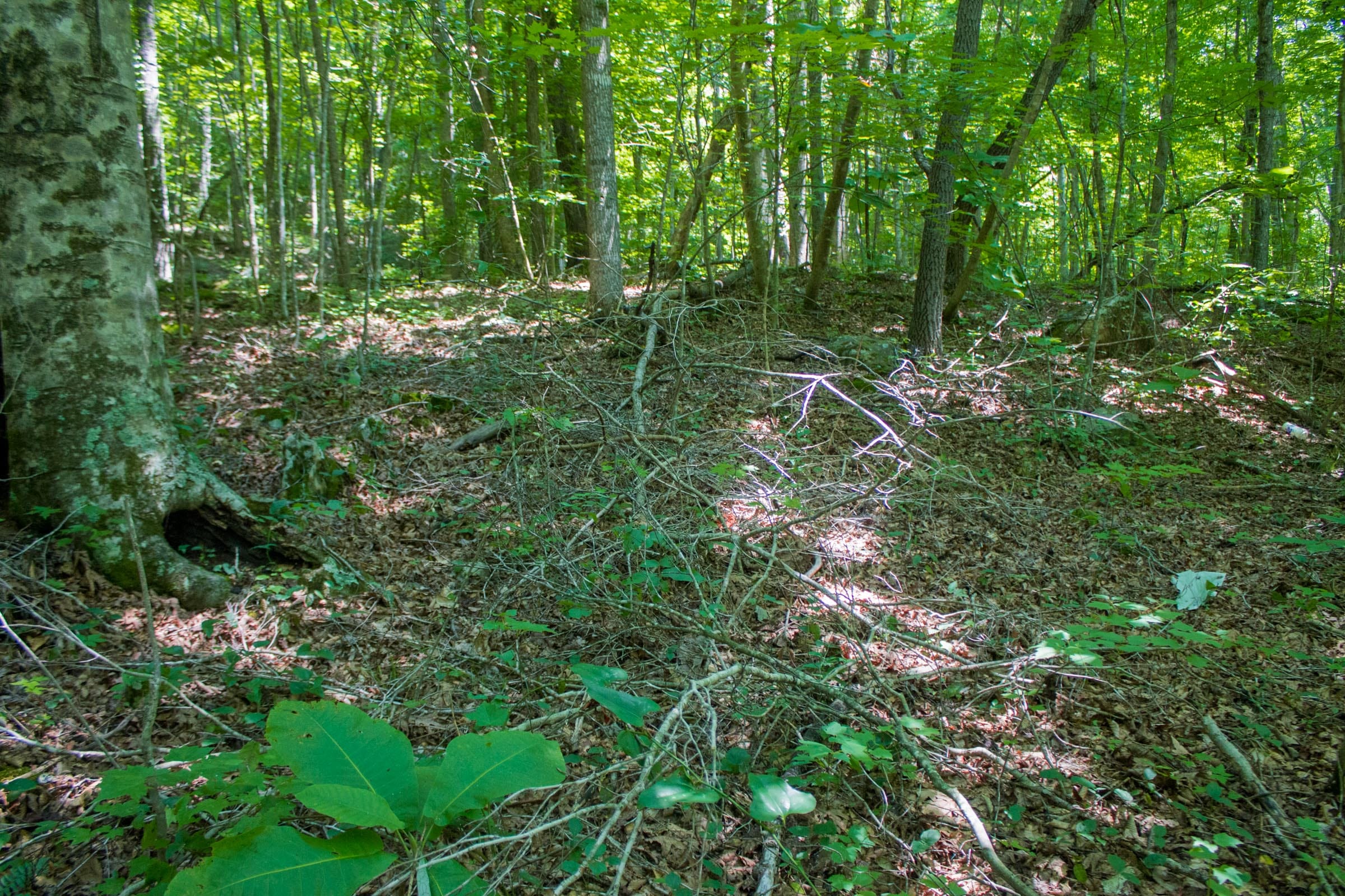 Bluewater Ridge Tract 5 photo 5
