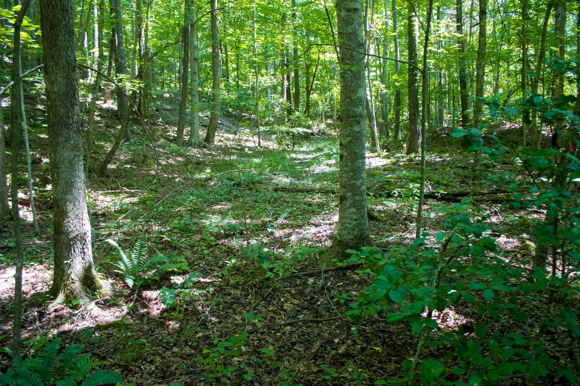 Bluewater Ridge Tract 5 photo 8