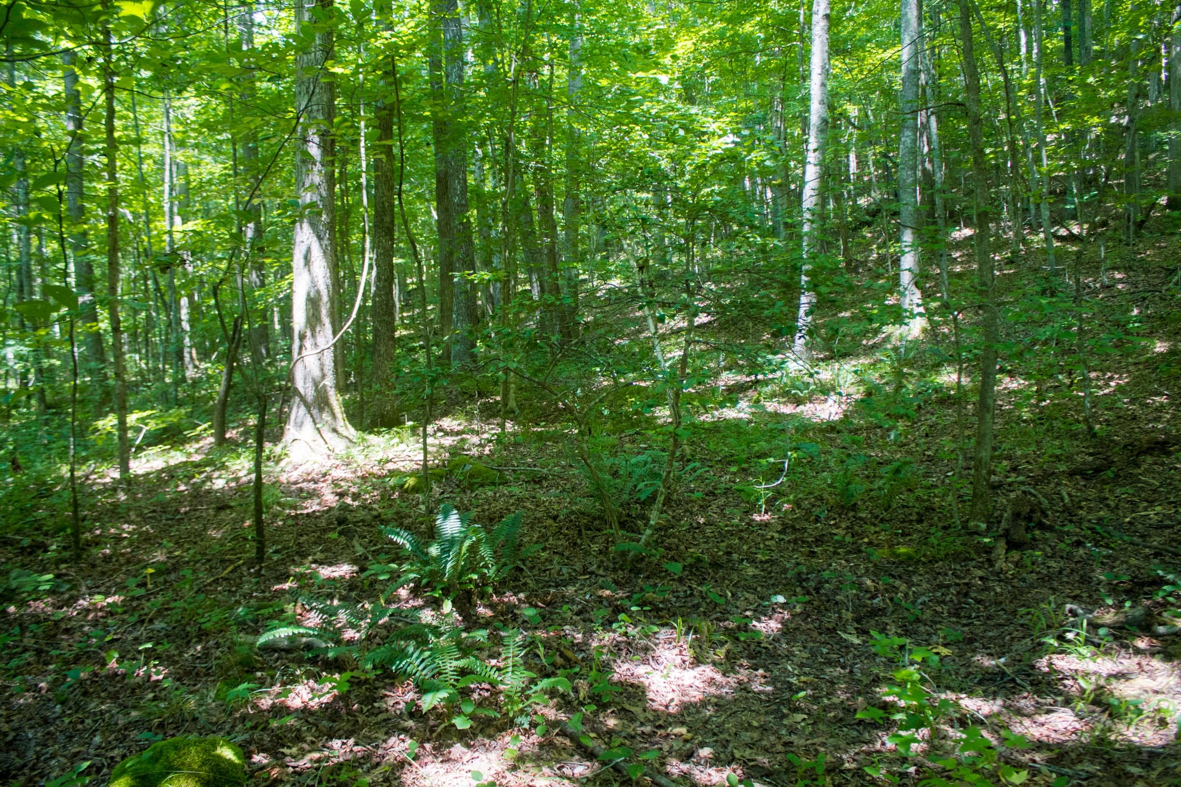 Bluewater Ridge Tract 5 photo 9