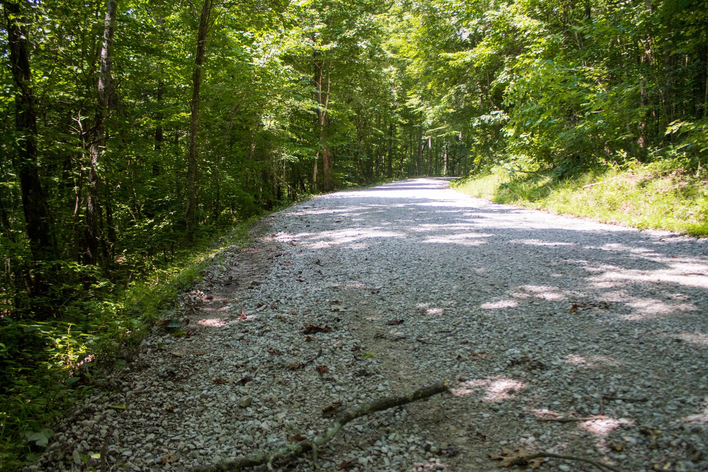 Bluewater Ridge Tract 5 photo 10