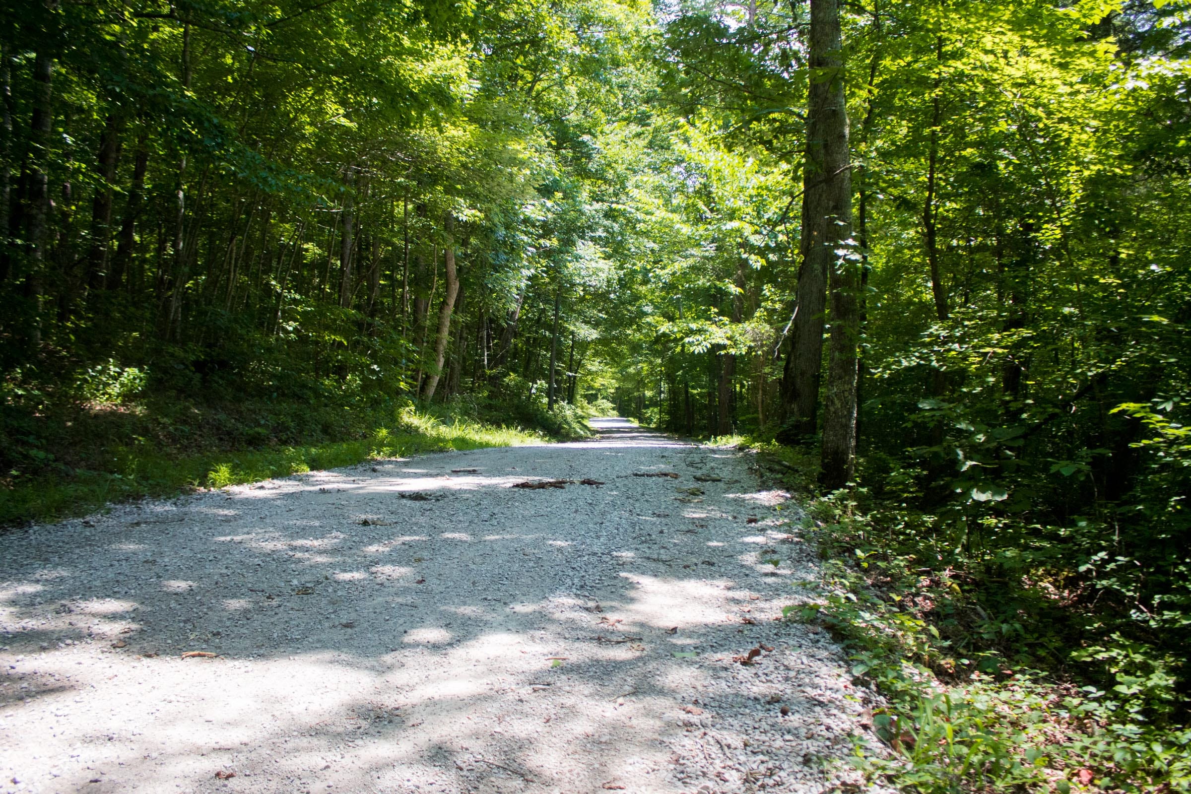 Bluewater Ridge Tract 5 photo 11