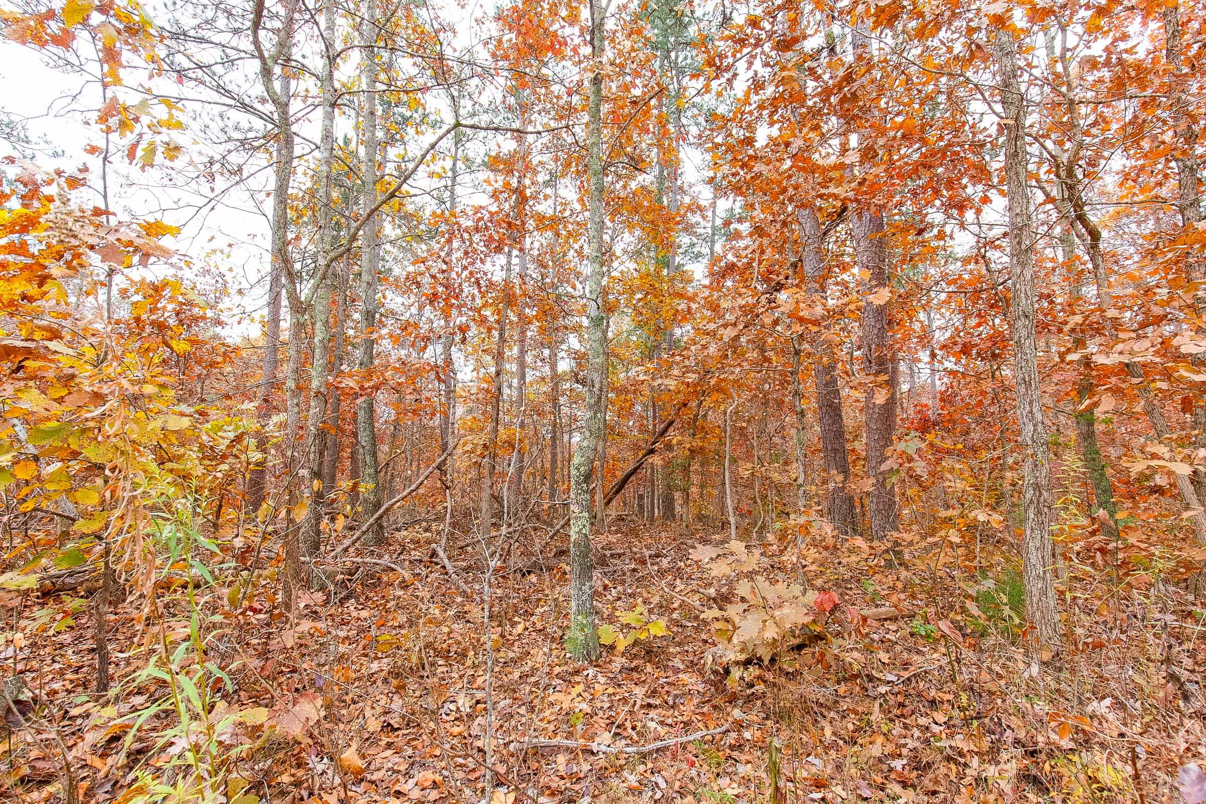 Hawkcrest Tract 10 photo 3