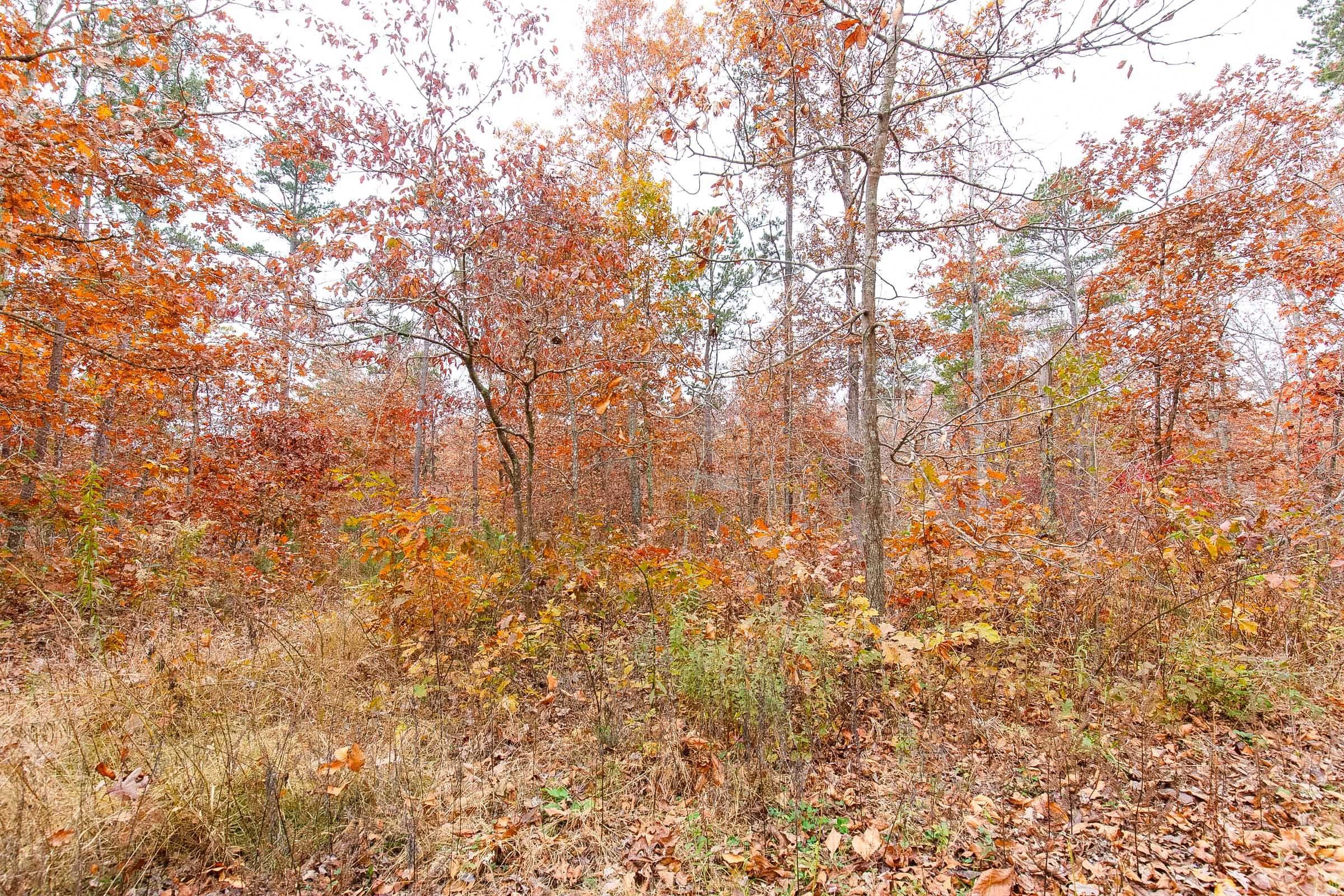 Hawkcrest Tract 10 photo 6