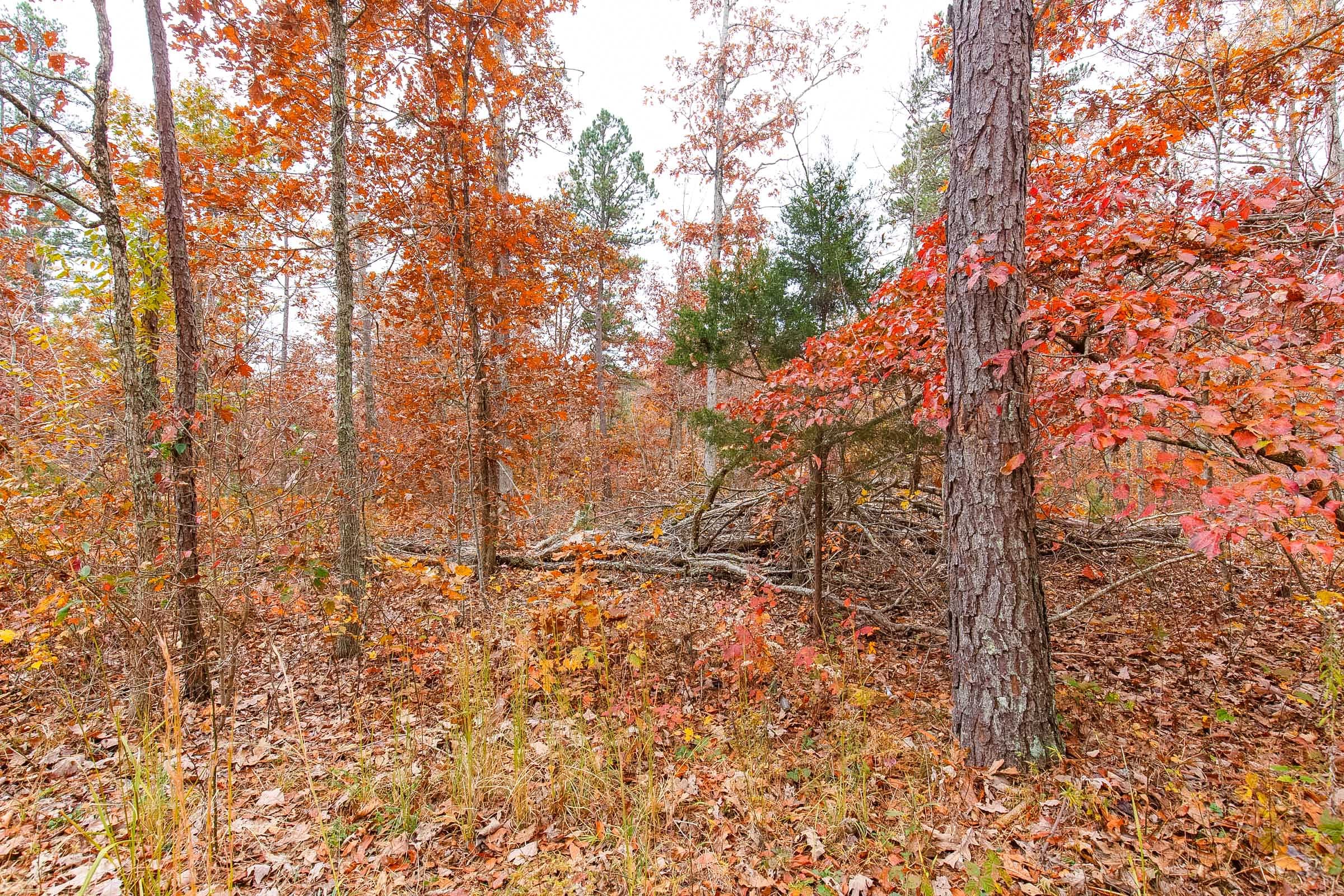 Hawkcrest Tract 10 photo 2