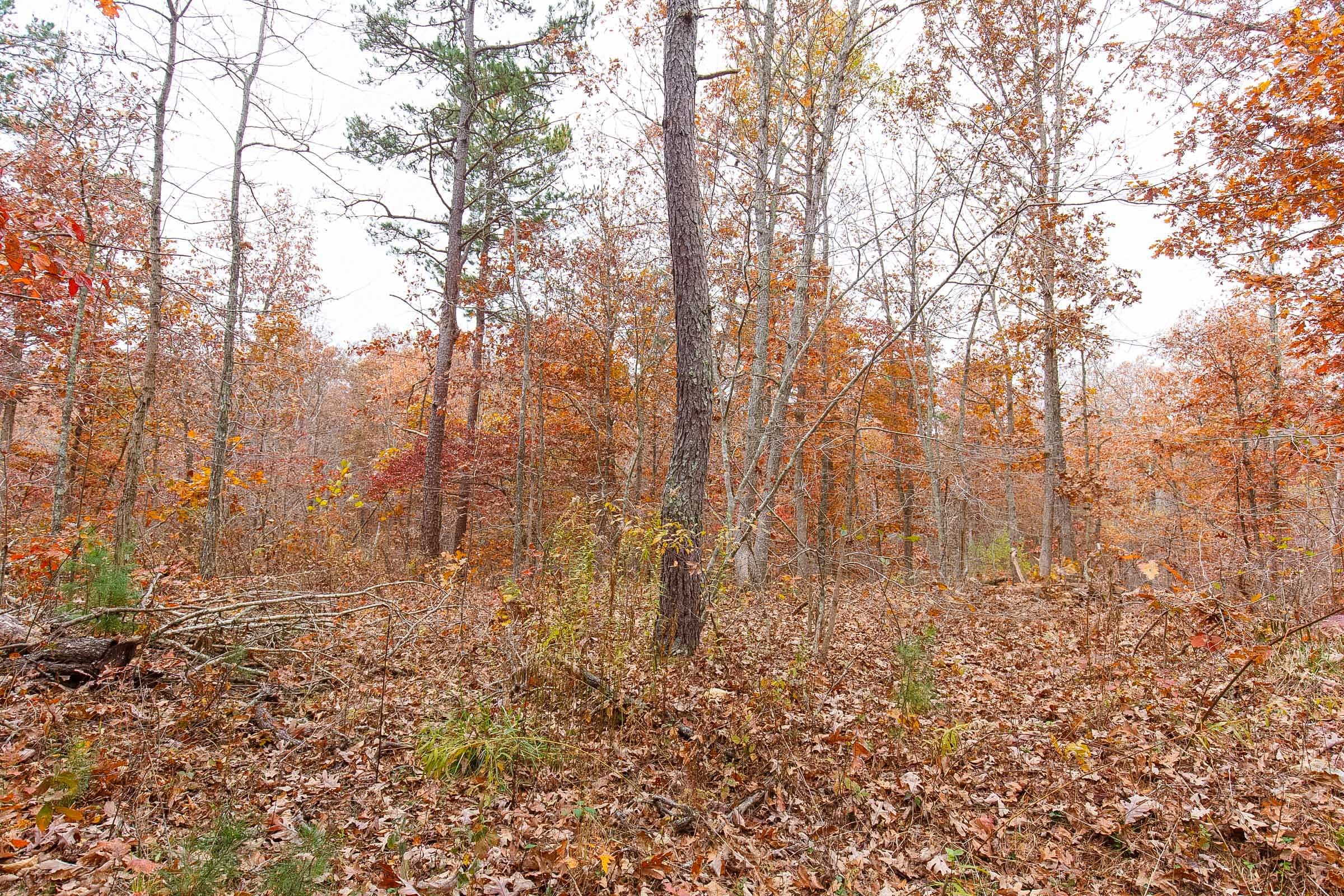 Hawkcrest Tract 10 photo 8