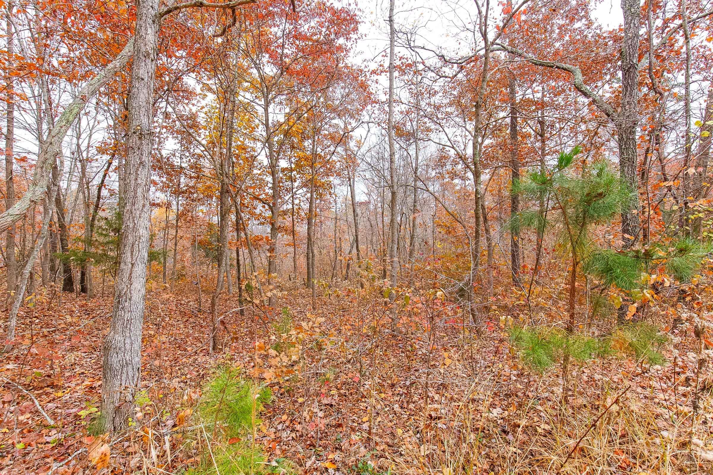 Hawkcrest Tract 10 photo 9