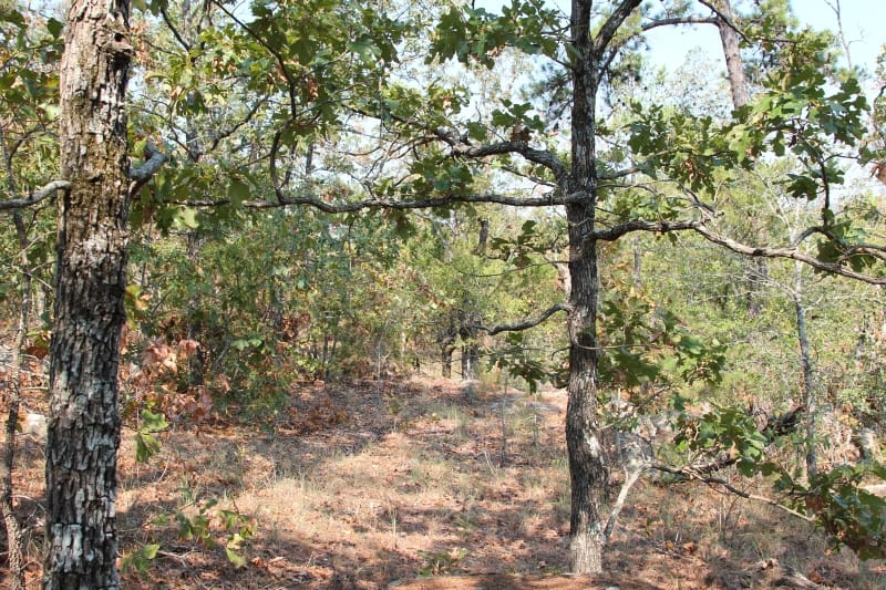 Lake View Ranch Tract 31 photo 2