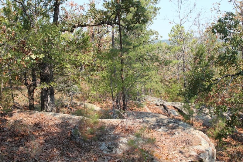 Lake View Ranch Tract 31 photo 3