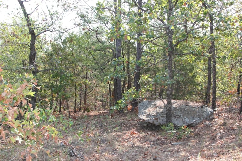 Lake View Ranch Tract 31 photo 4