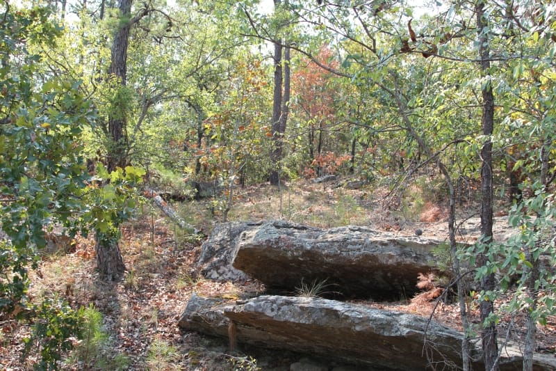 Lake View Ranch Tract 31 photo 5
