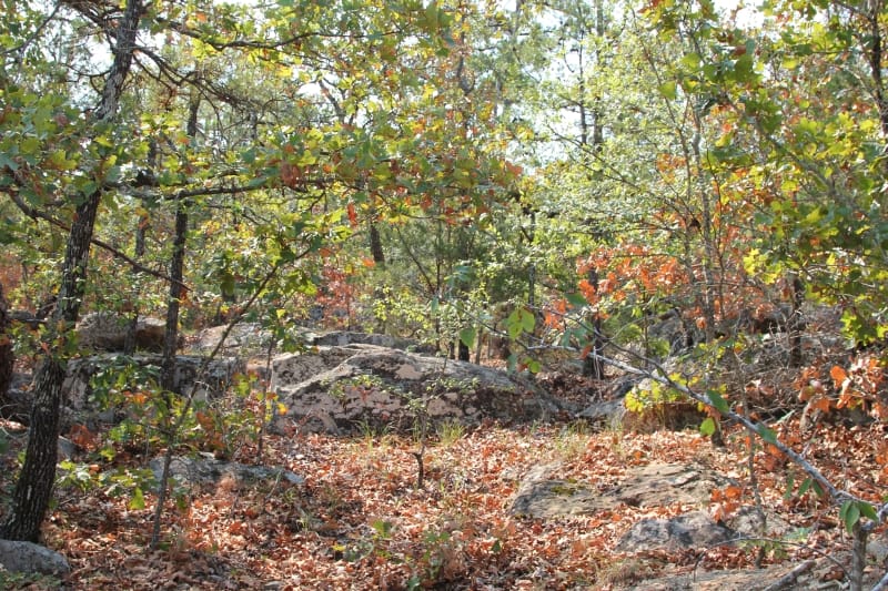 Lake View Ranch Tract 31 photo 6