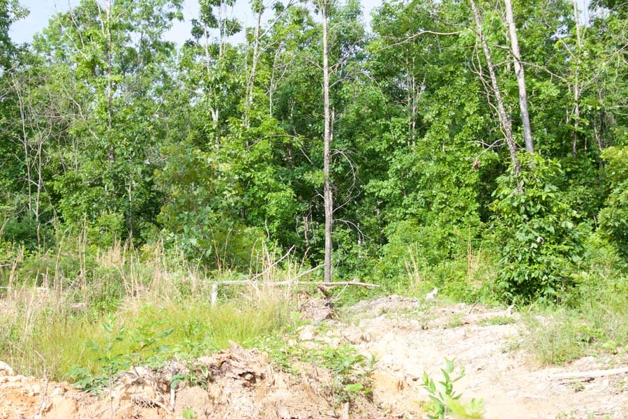 Thunder Mountain Ranch Tract 36 photo 6