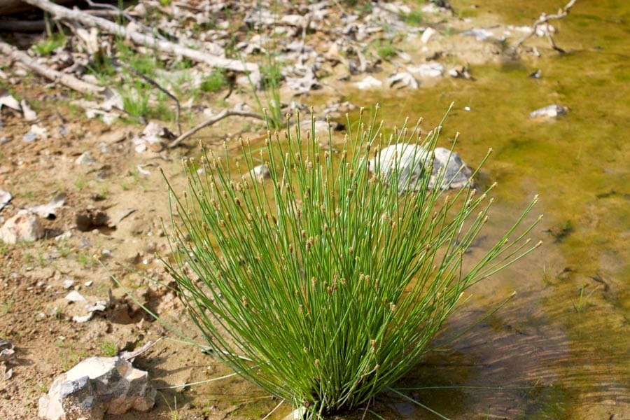 Thunder Mountain Ranch Tract 36 photo 9