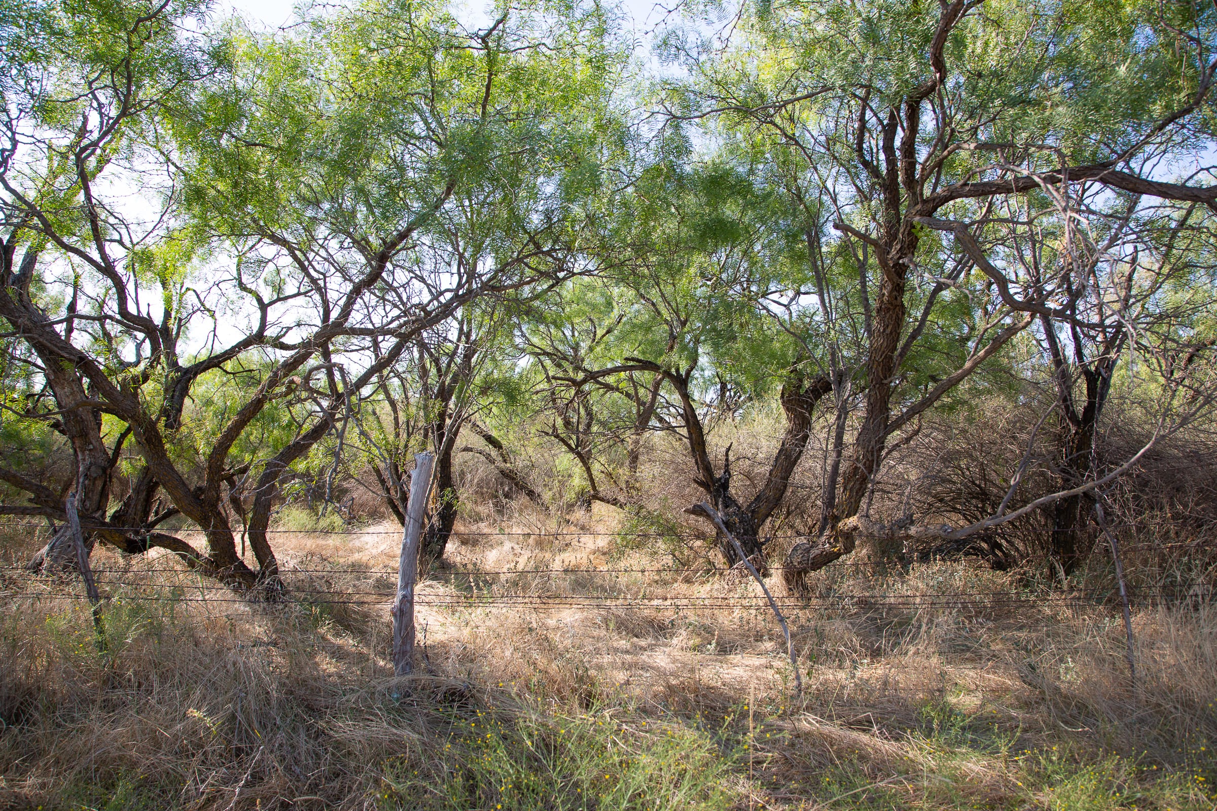 Hunter’s Ranch Tract 18 photo 2