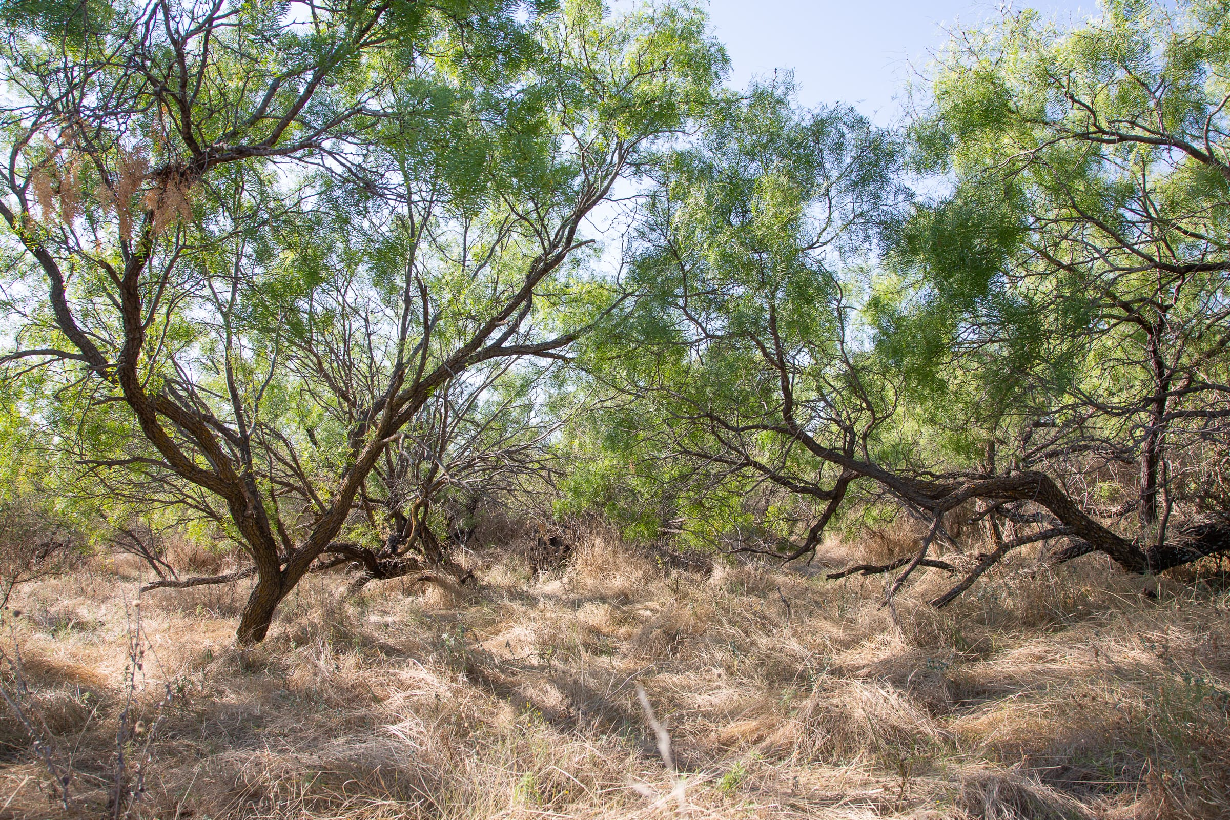 Hunter’s Ranch Tract 18 photo 3