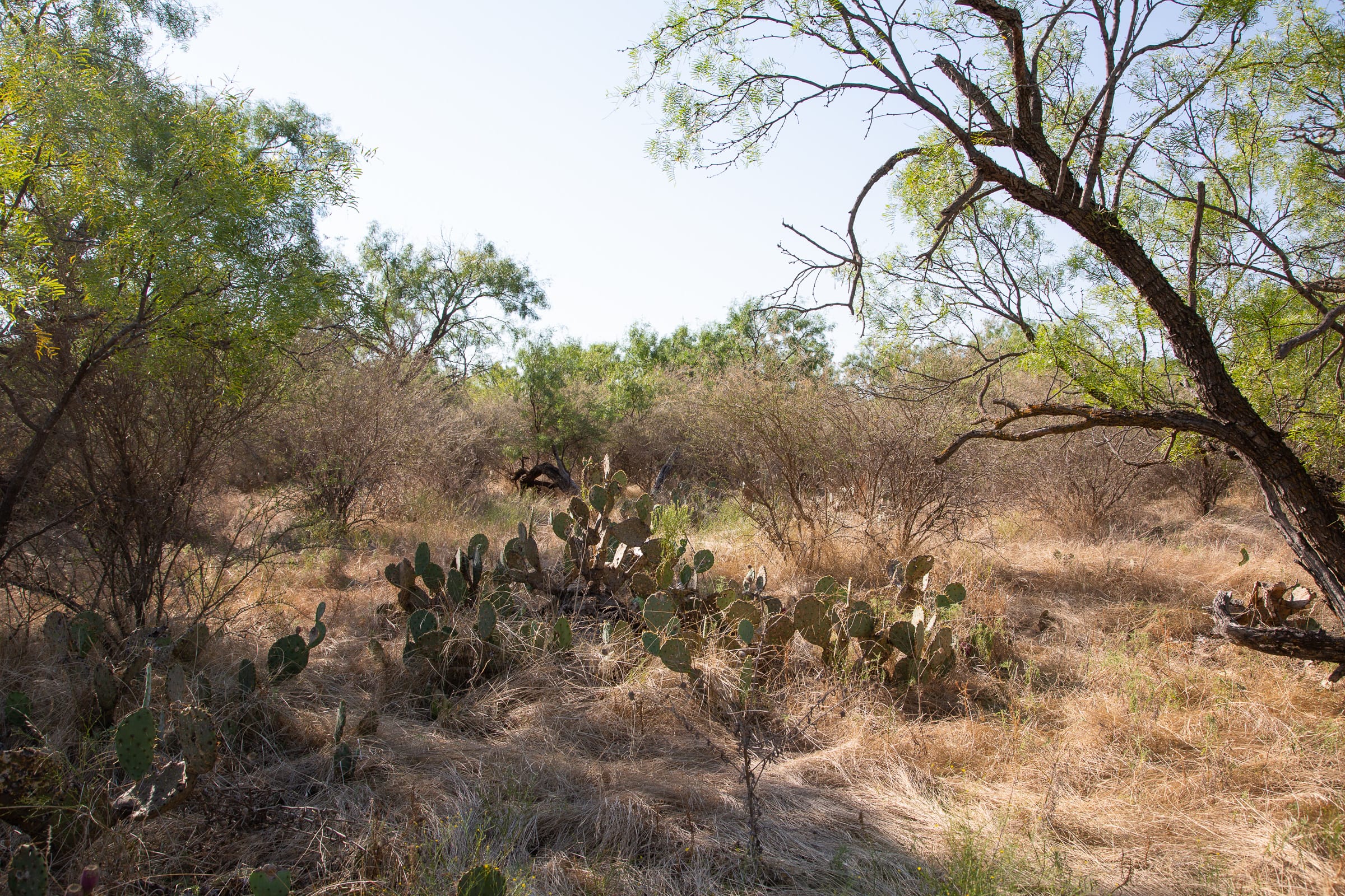 Hunter’s Ranch Tract 18 photo 5