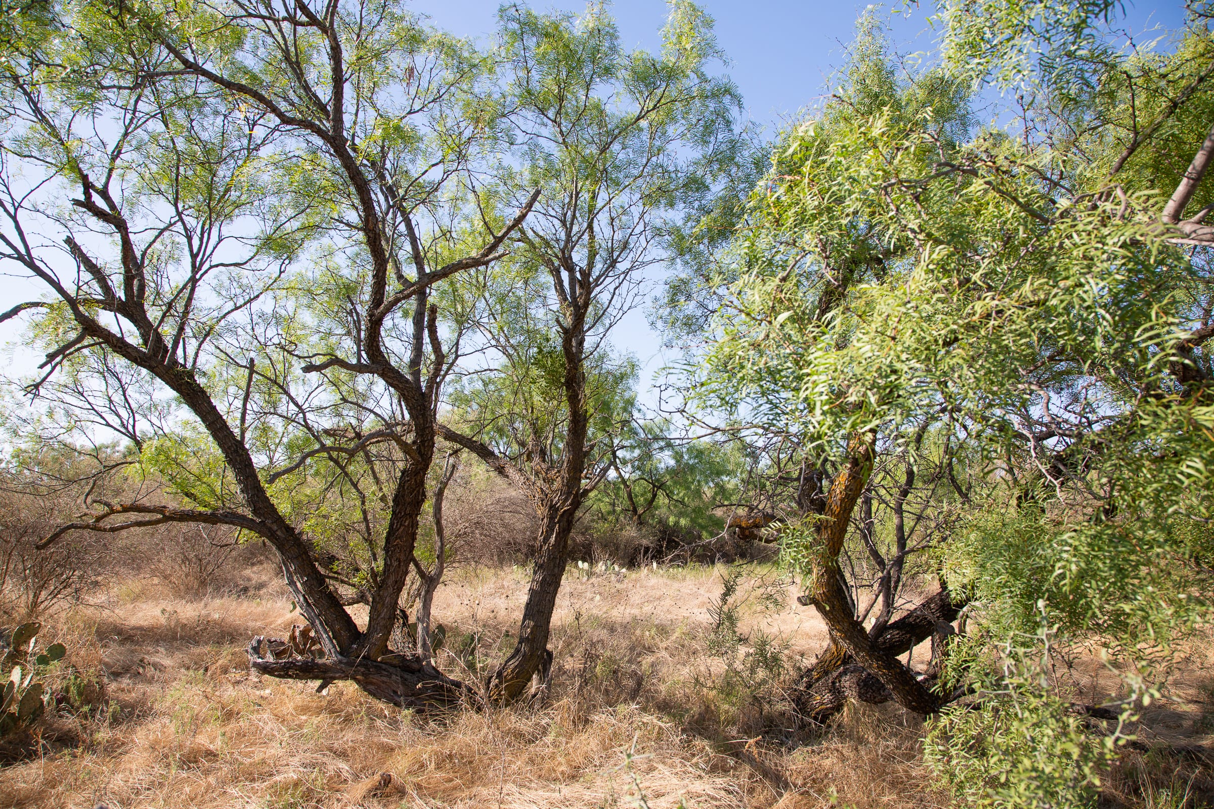 Hunter’s Ranch Tract 18 photo 6