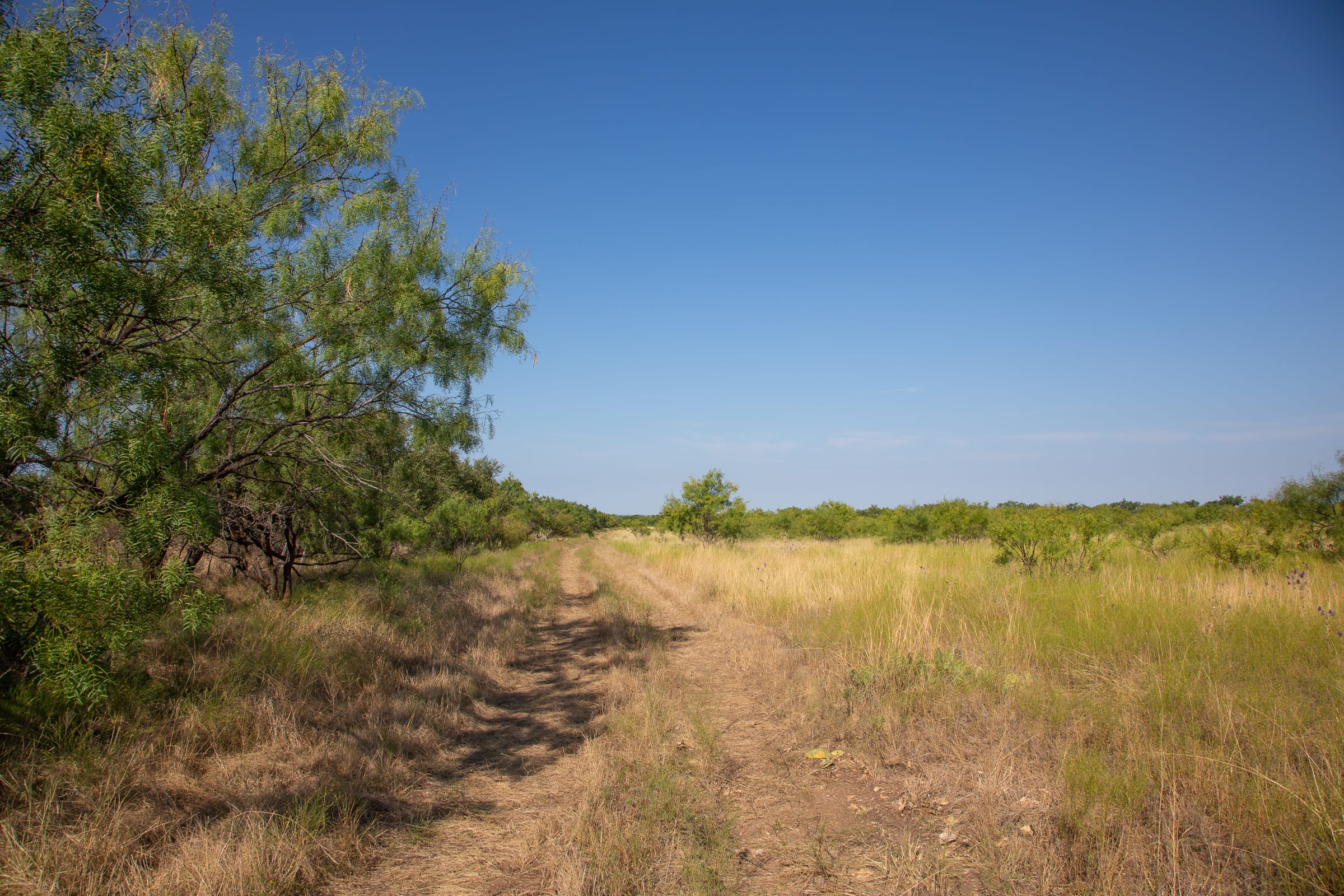 Hunter’s Ranch Tract 18 photo 7