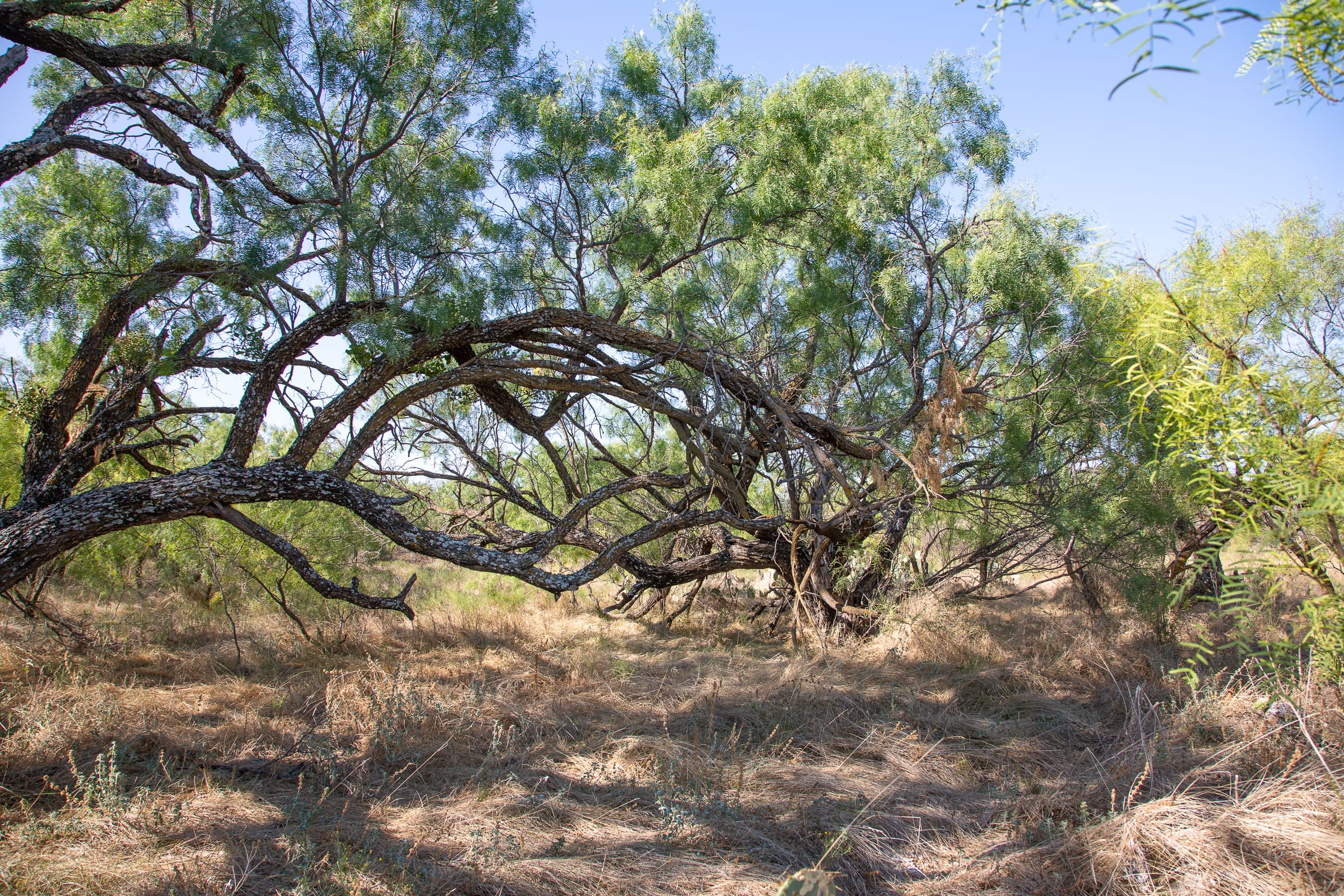 Hunter’s Ranch Tract 18 photo 10