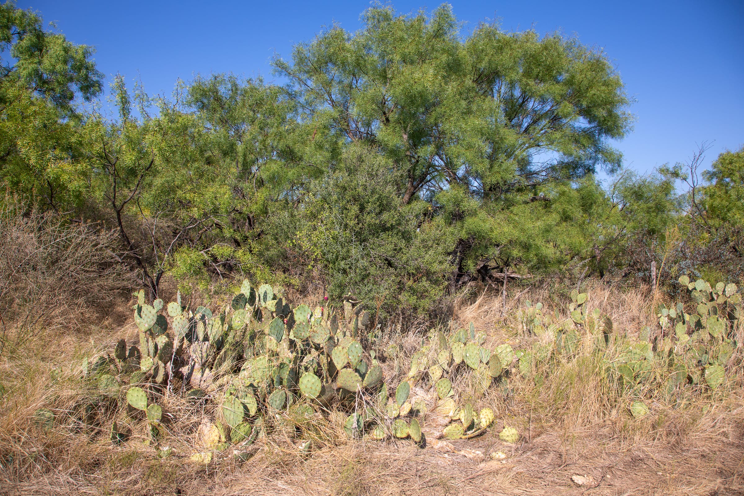 Hunter’s Ranch Tract 18 photo 12