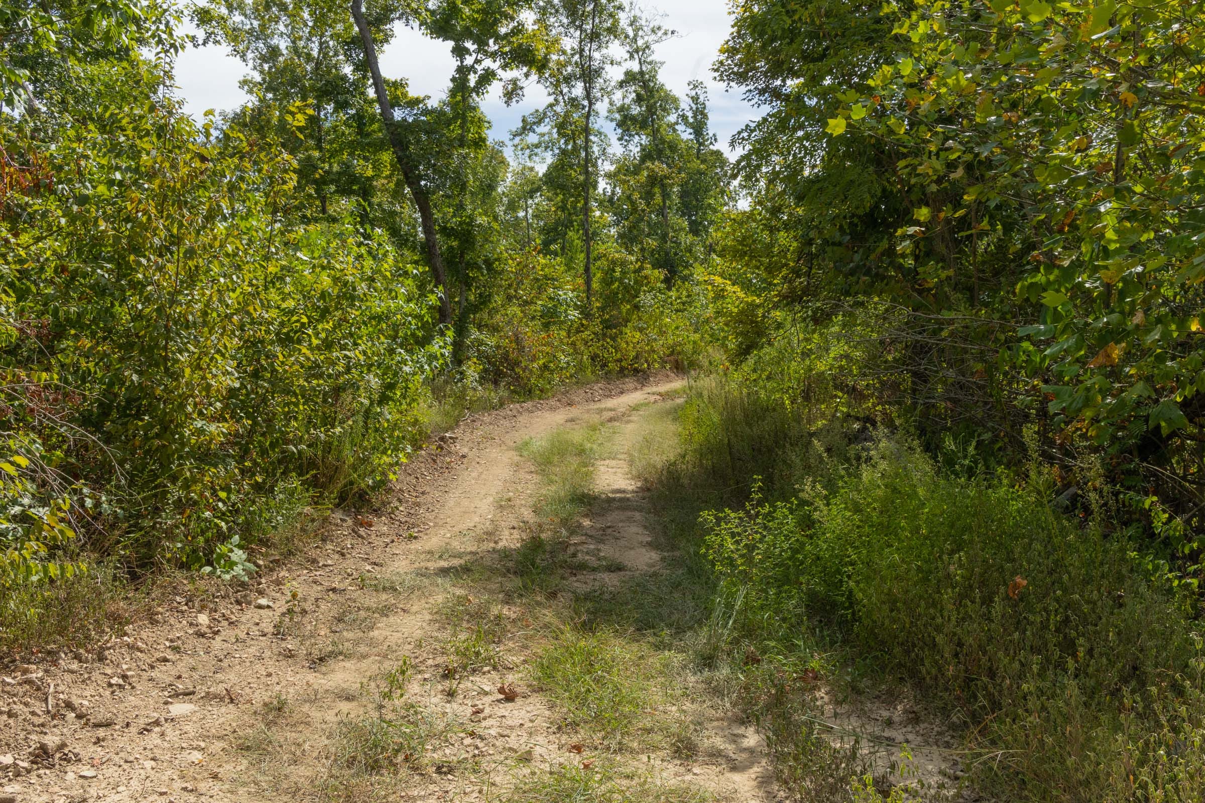Big White Oak Tract 75 photo 4