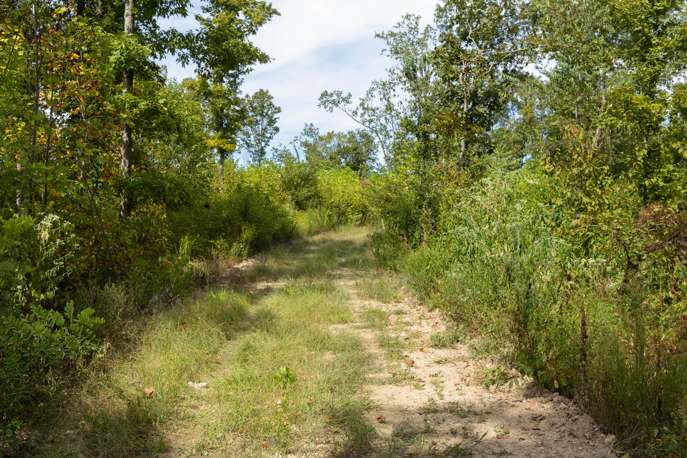 Big White Oak Tract 75 photo 1