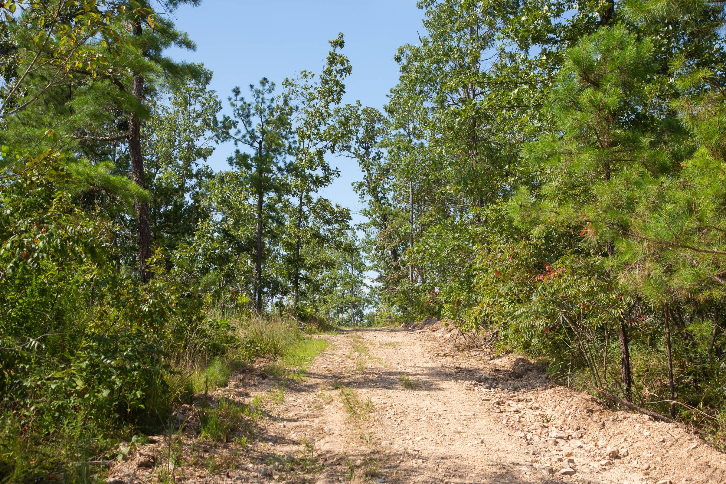 Borgmann’s Hollow Phase I Tract 21 photo 1