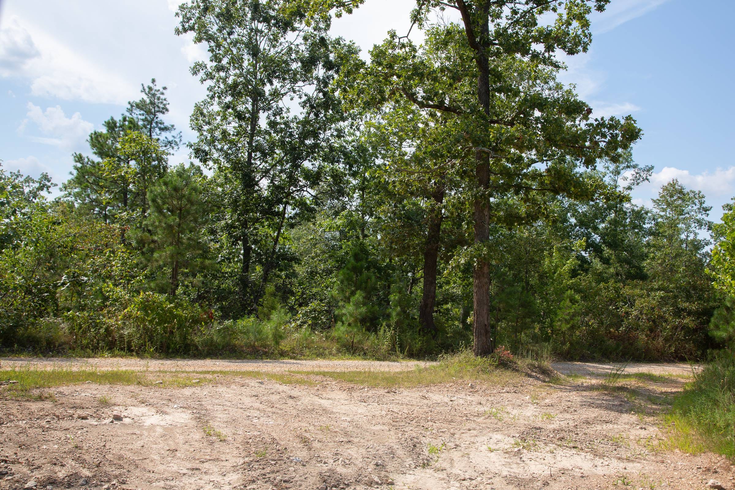 Borgmann’s Hollow Phase I Tract 21 photo 7