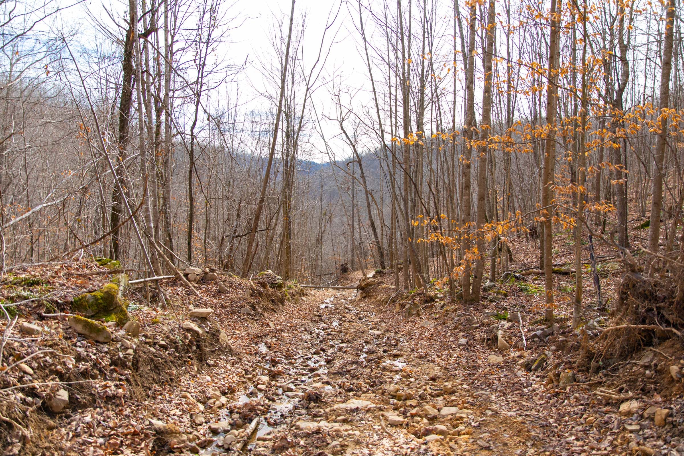Blackstone Mountain Phase I Tract 27 photo 7