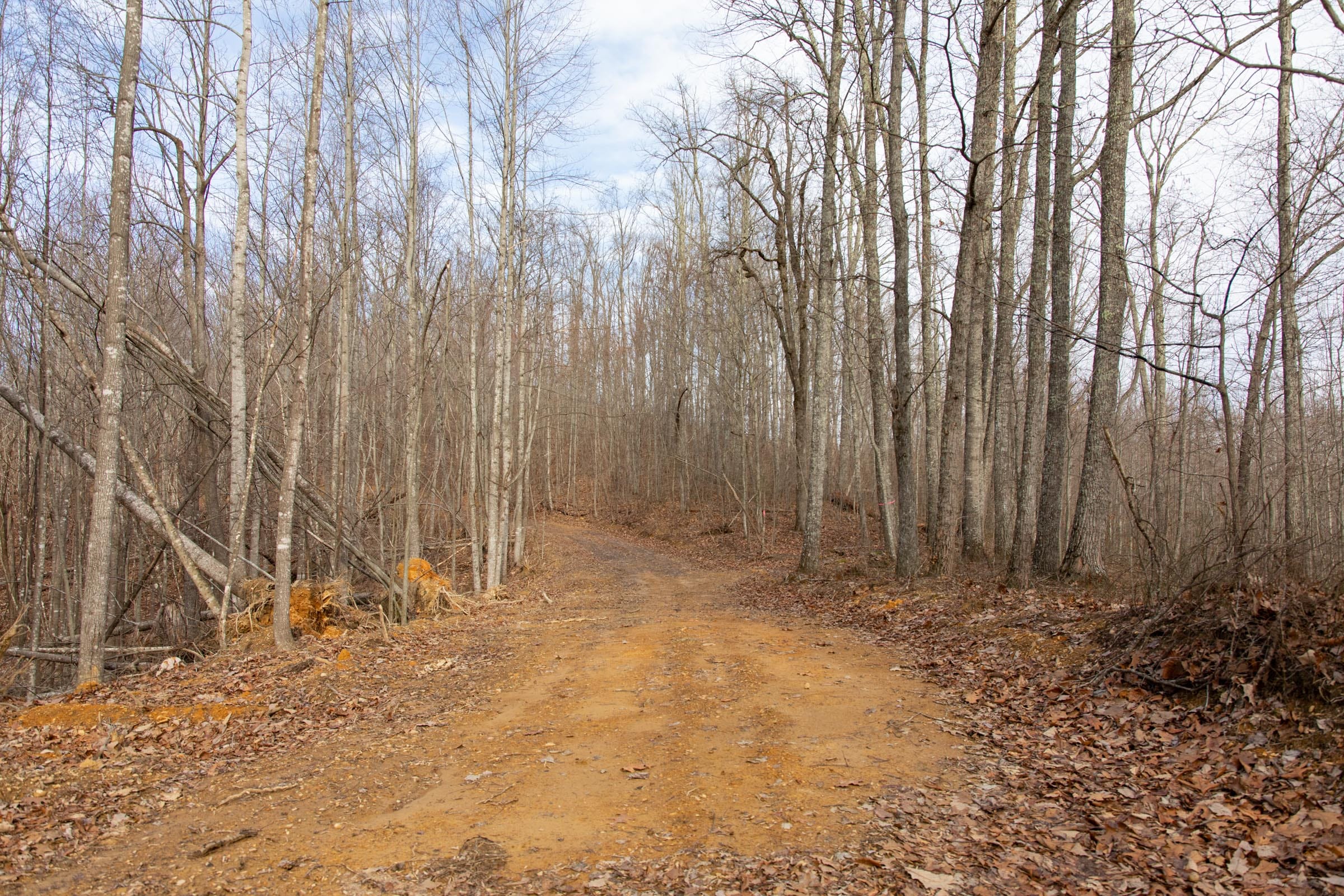Blackstone Mountain Phase I Tract 27 photo 16