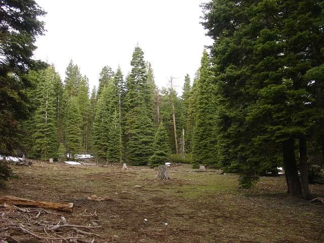 California Pines Tract 82 photo 1