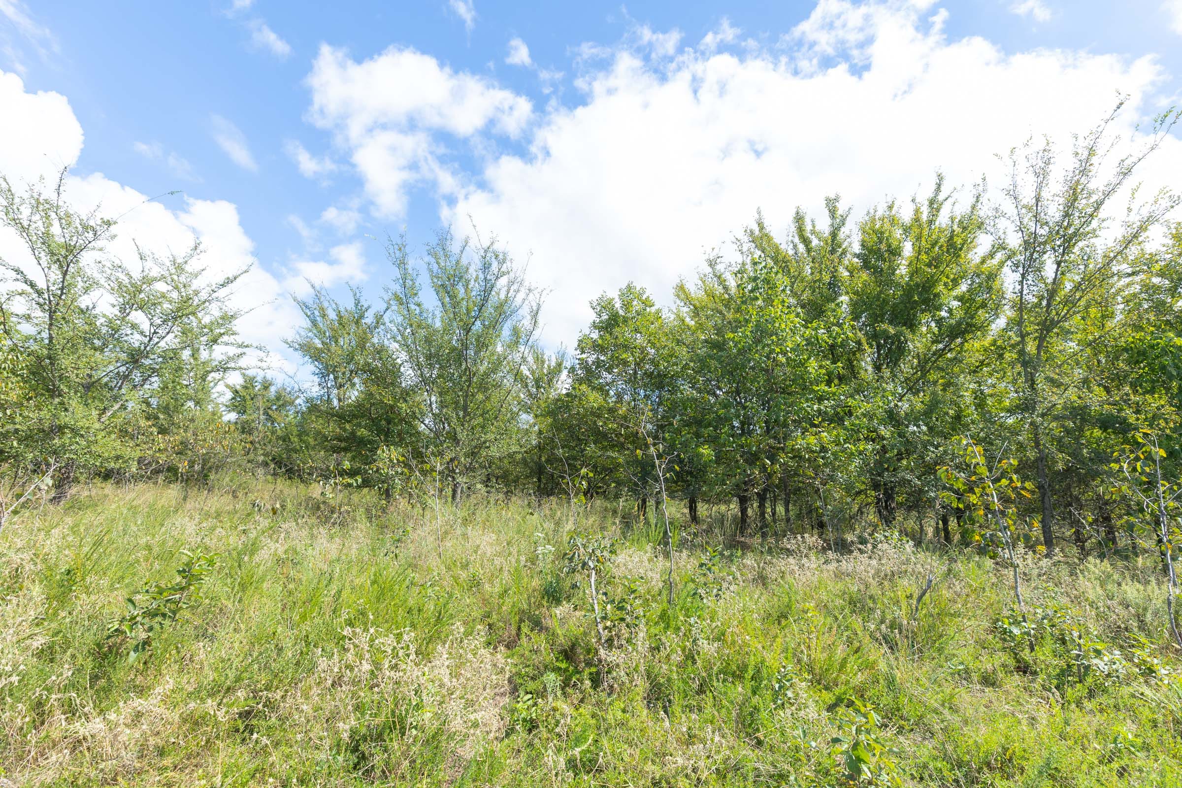 Reserves At Cattail Cove Phase II Tract 105 photo 15