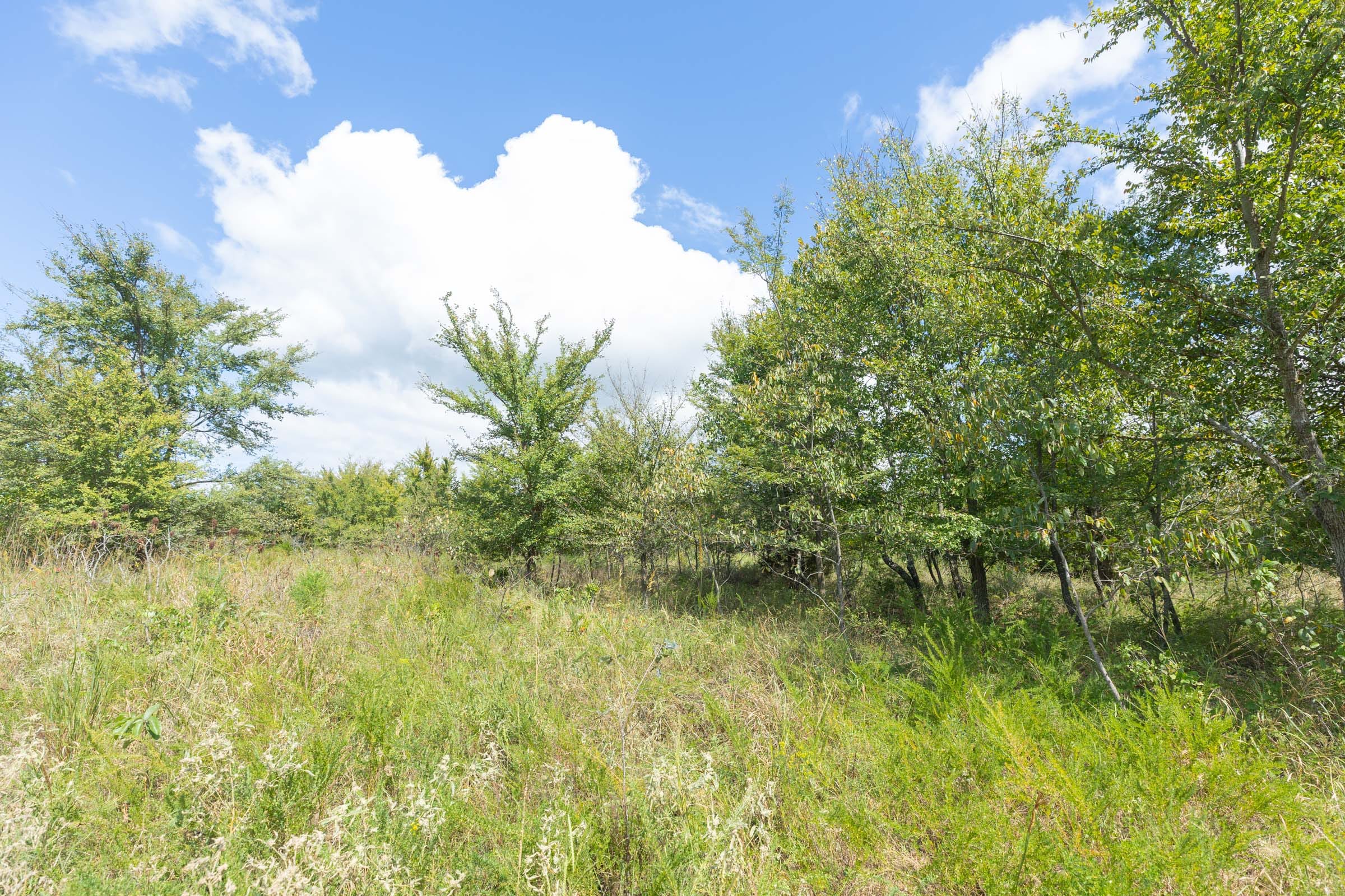 Reserves At Cattail Cove Phase II Tract 105 photo 14