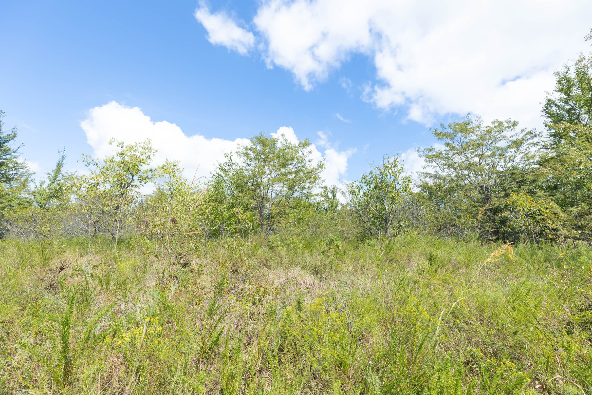 Reserves At Cattail Cove Phase II Tract 105 photo 13