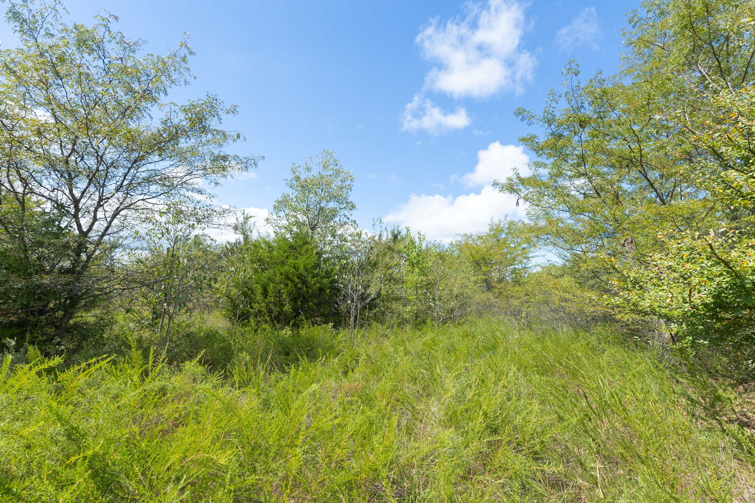 Reserves At Cattail Cove Phase II Tract 105 photo 12