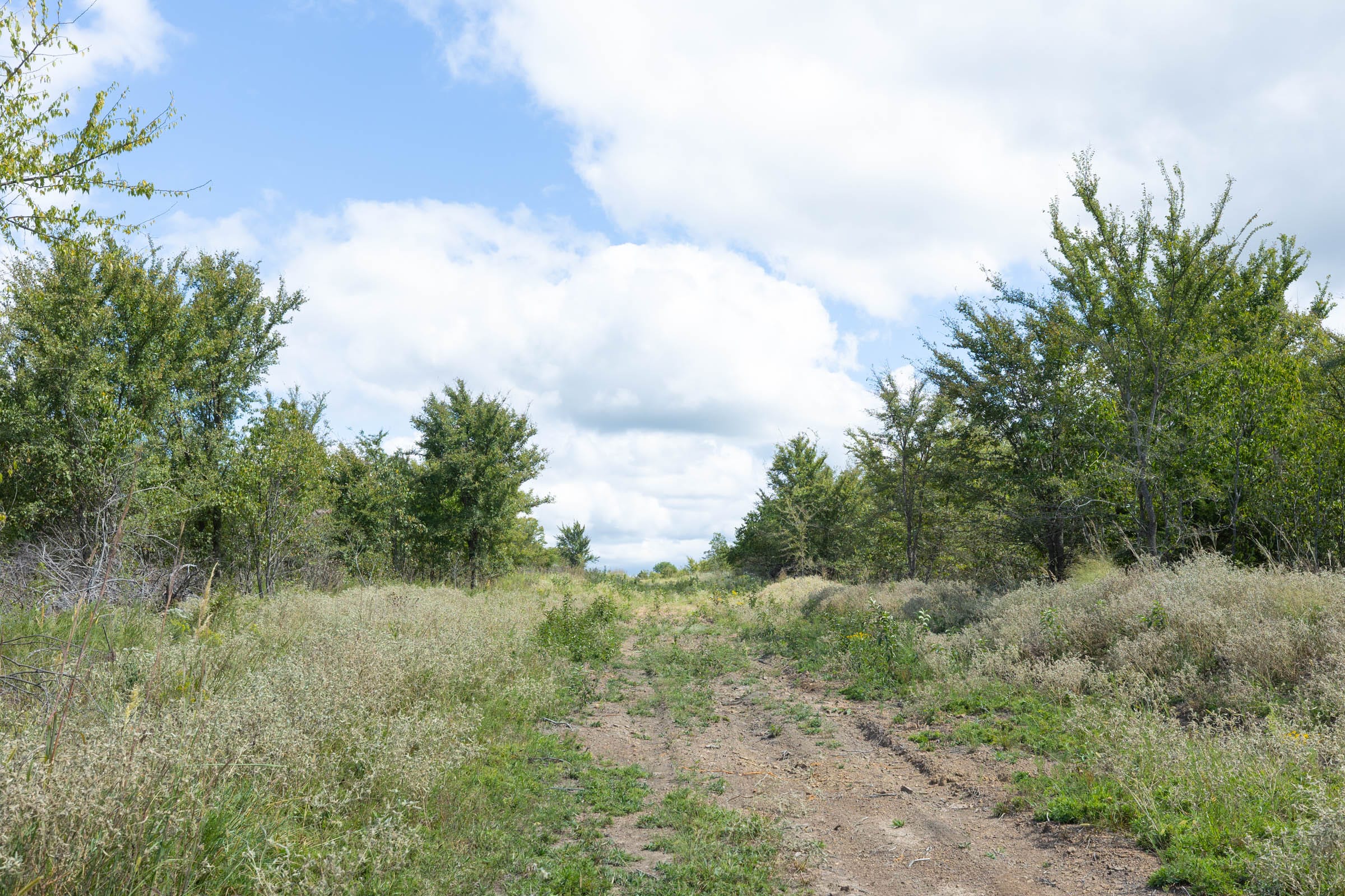 Reserves At Cattail Cove Phase II Tract 105 photo 11