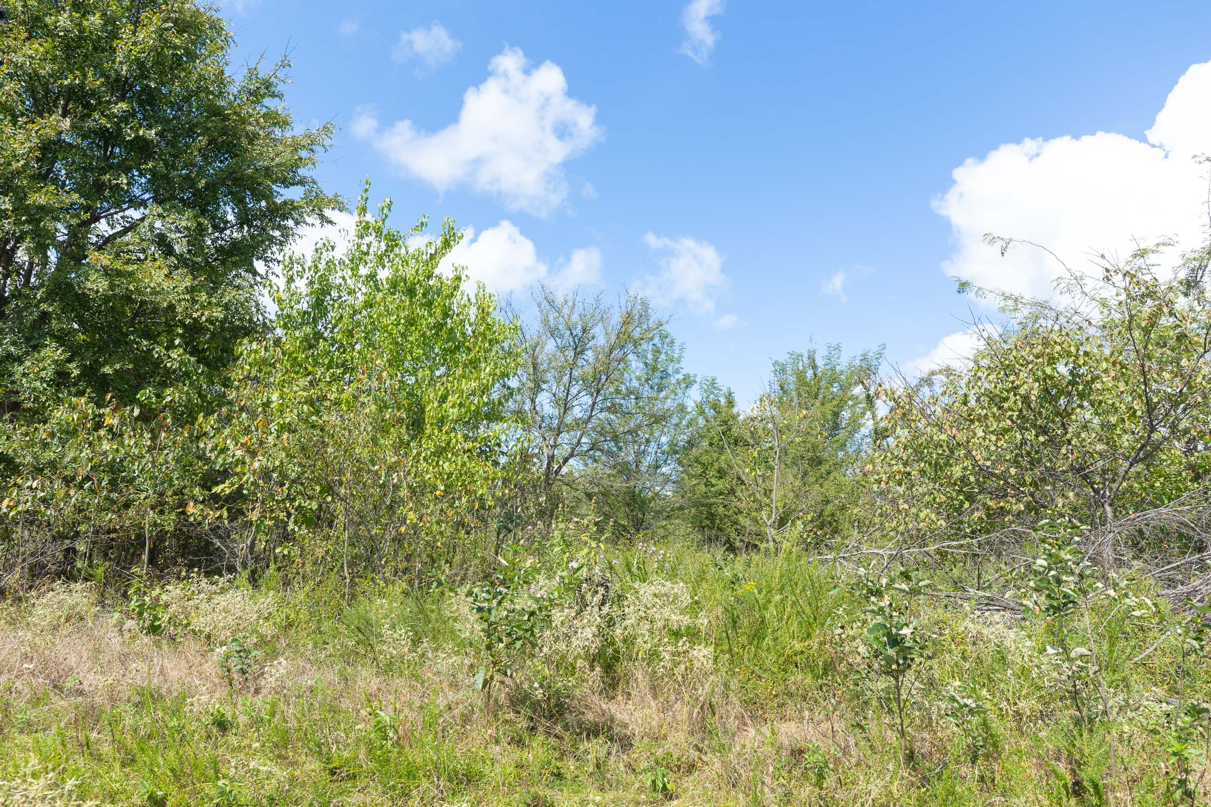 Reserves At Cattail Cove Phase II Tract 105 photo 10