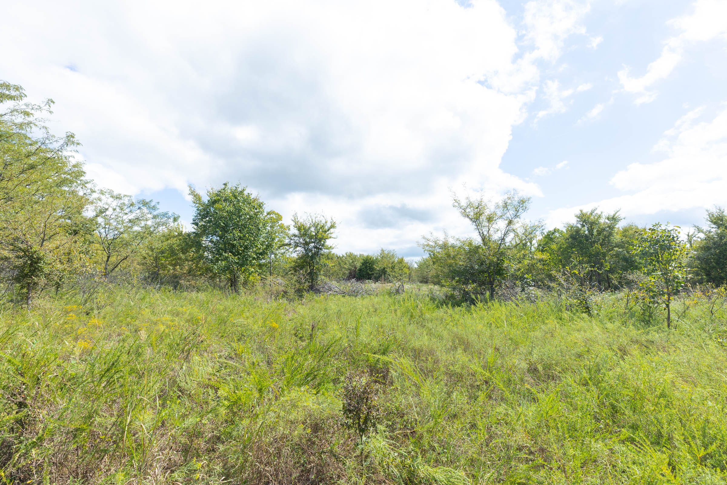 Reserves At Cattail Cove Phase II Tract 105 photo 9