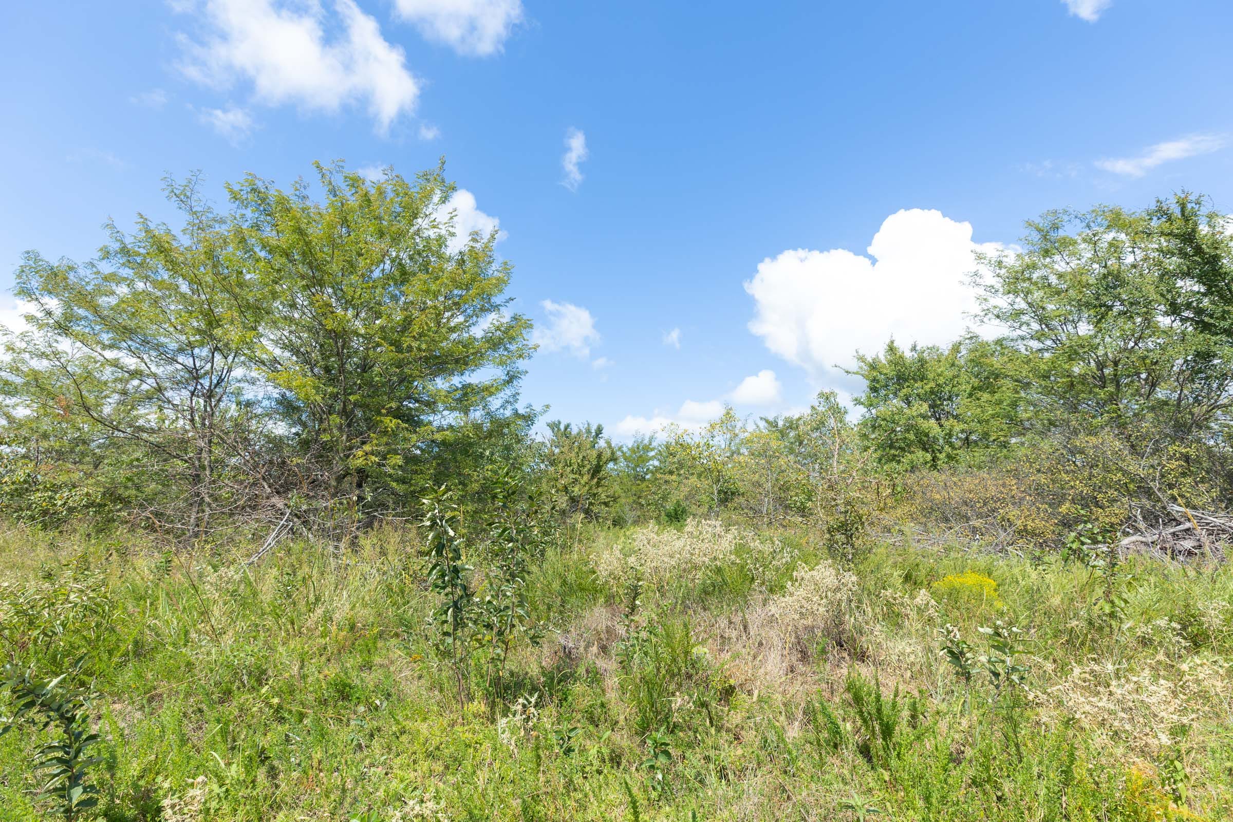 Reserves At Cattail Cove Phase II Tract 105 photo 8