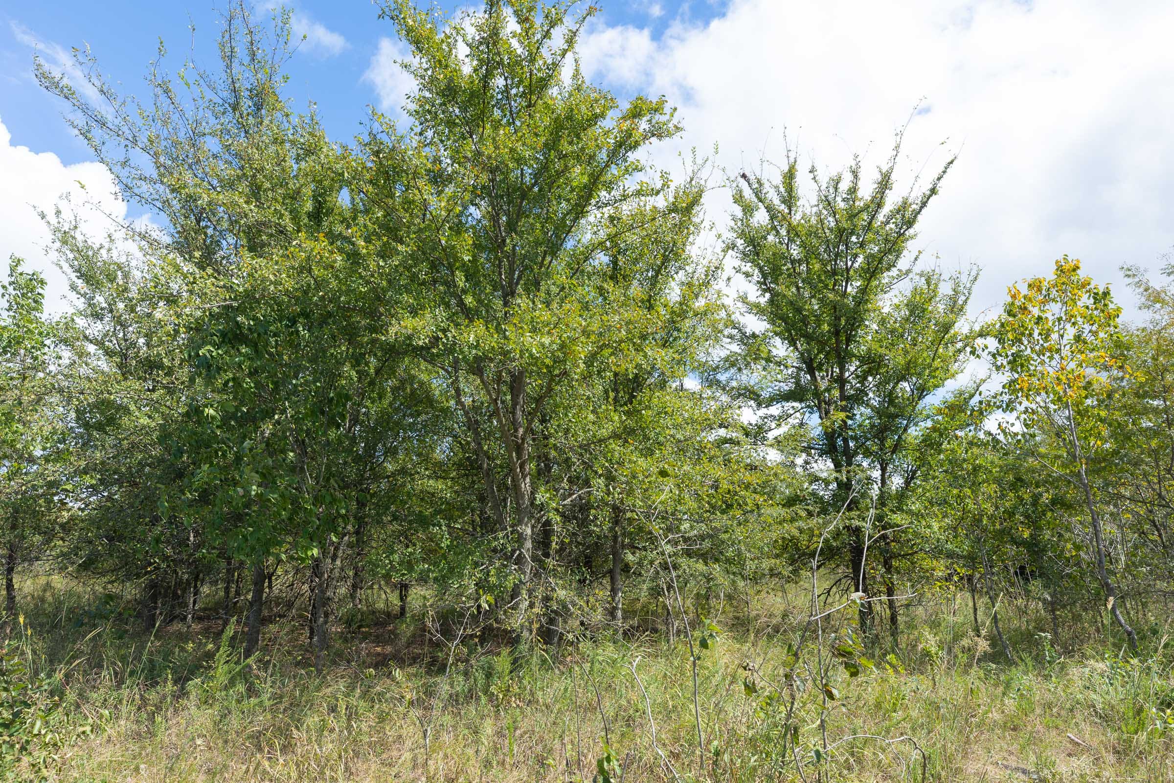 Reserves At Cattail Cove Phase II Tract 105 photo 6