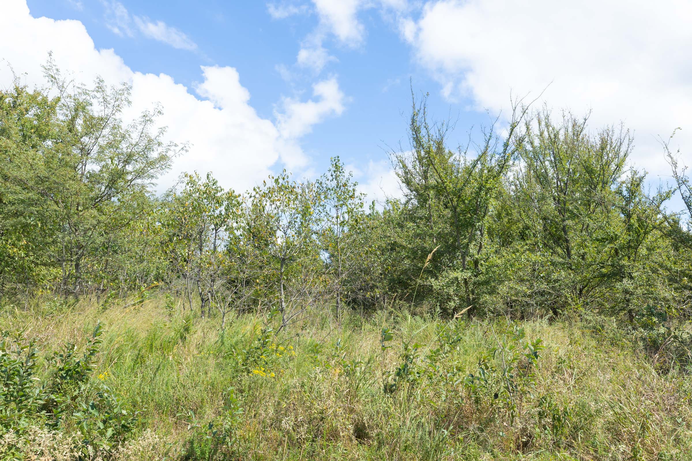 Reserves At Cattail Cove Phase II Tract 105 photo 5
