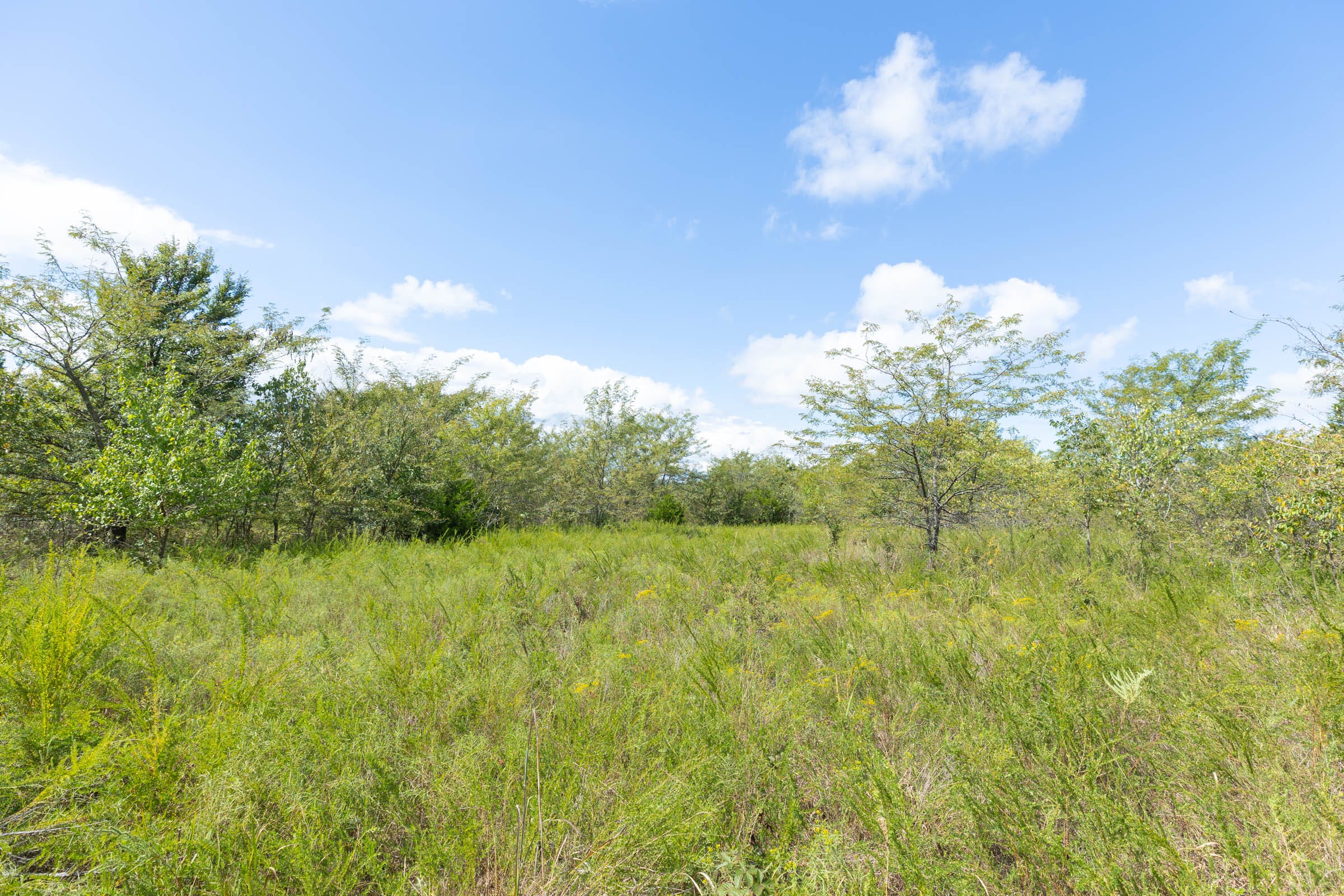 Reserves At Cattail Cove Phase II Tract 105 photo 4