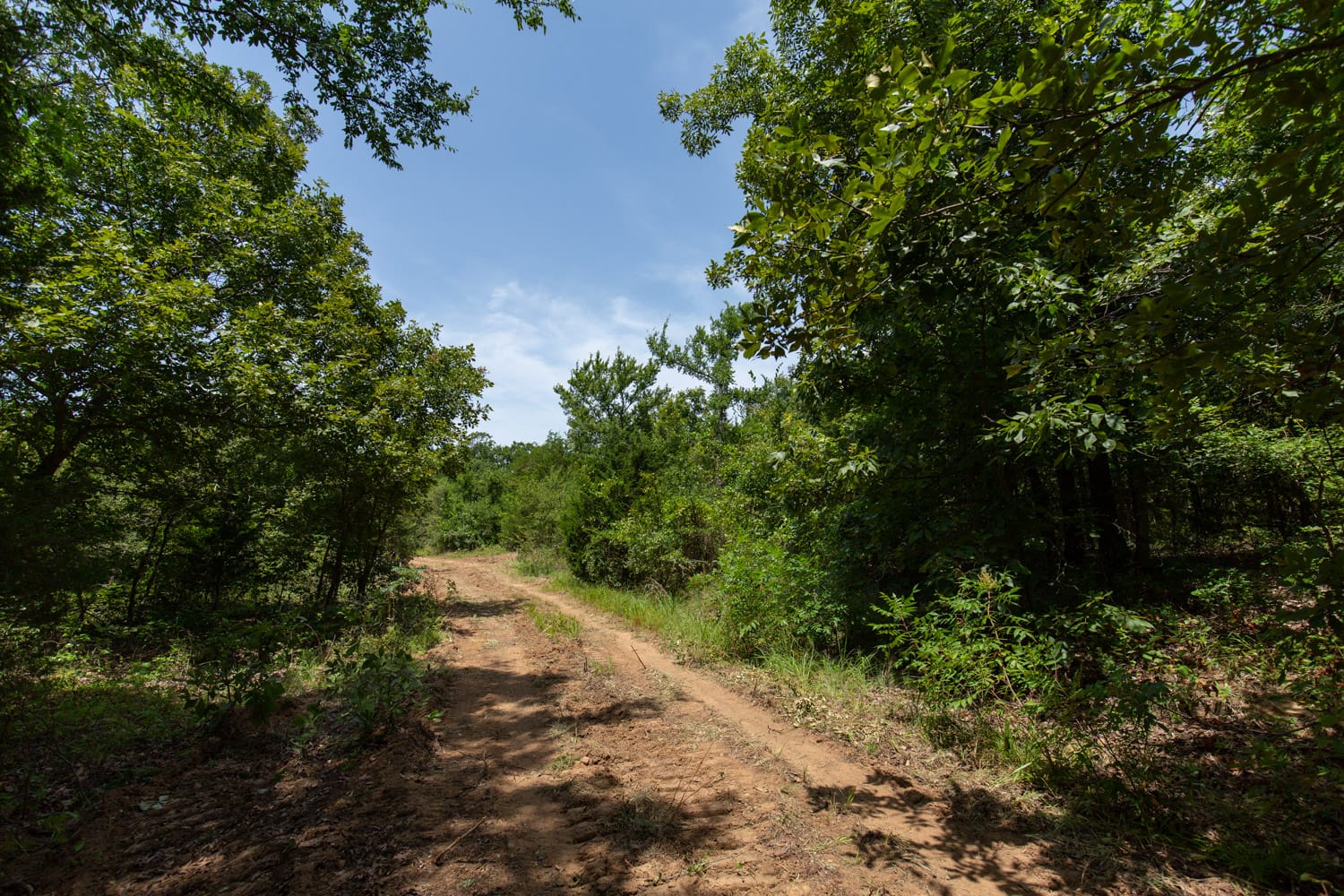 Timber Ridge Tract 52 photo 4
