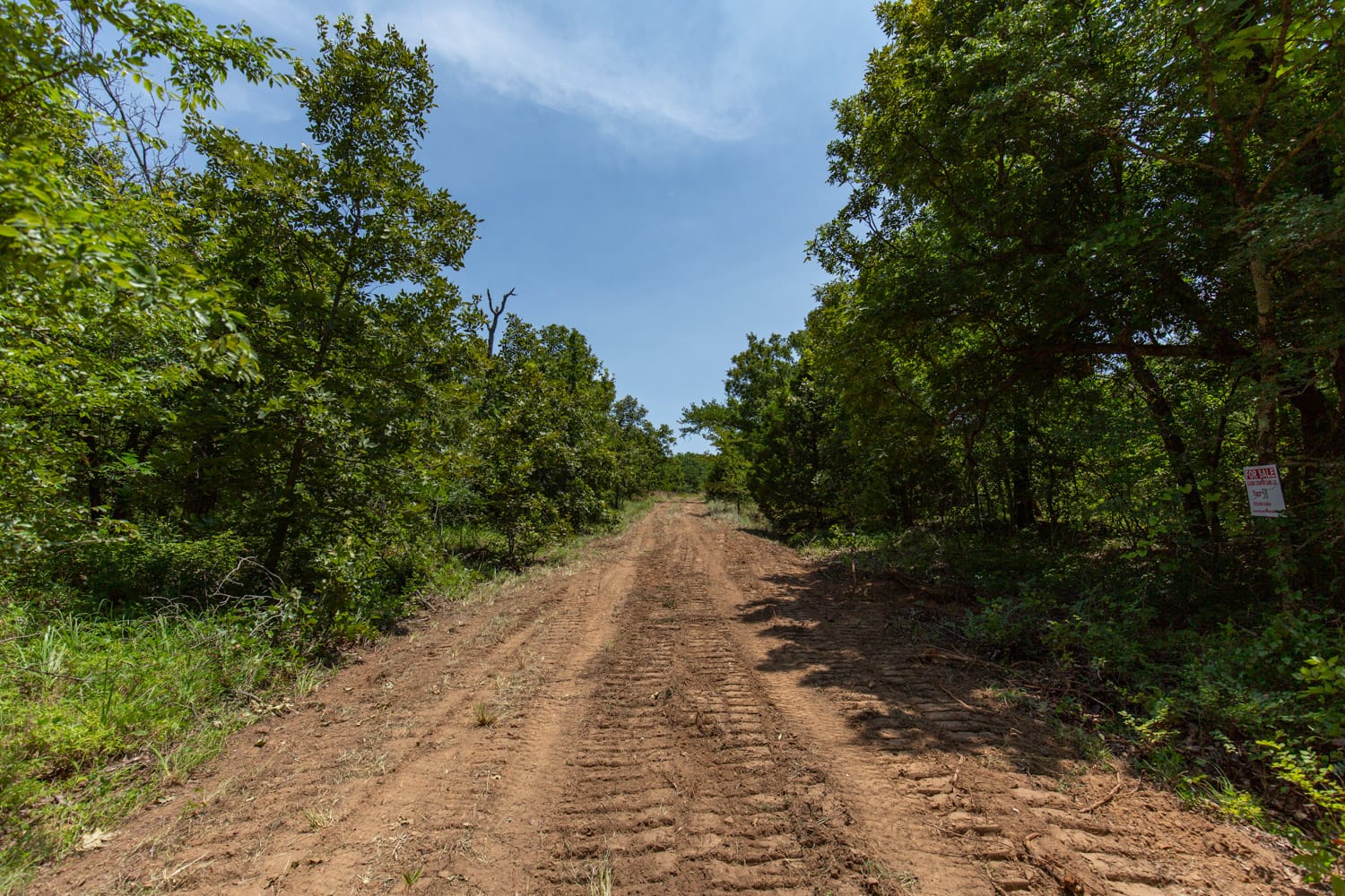 Timber Ridge Tract 52 photo 2